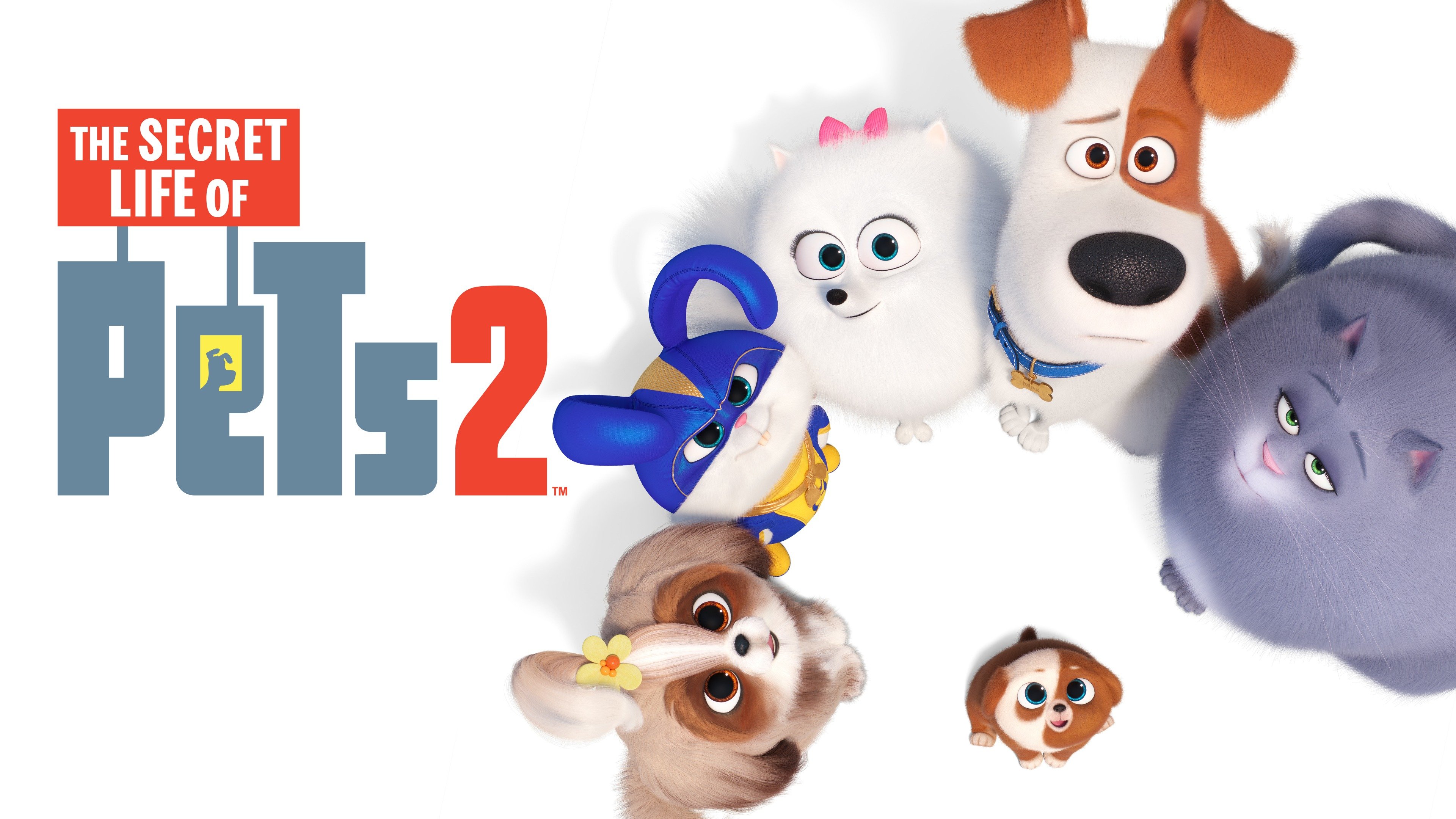 The Secret Life Of Pets 2 Wallpapers