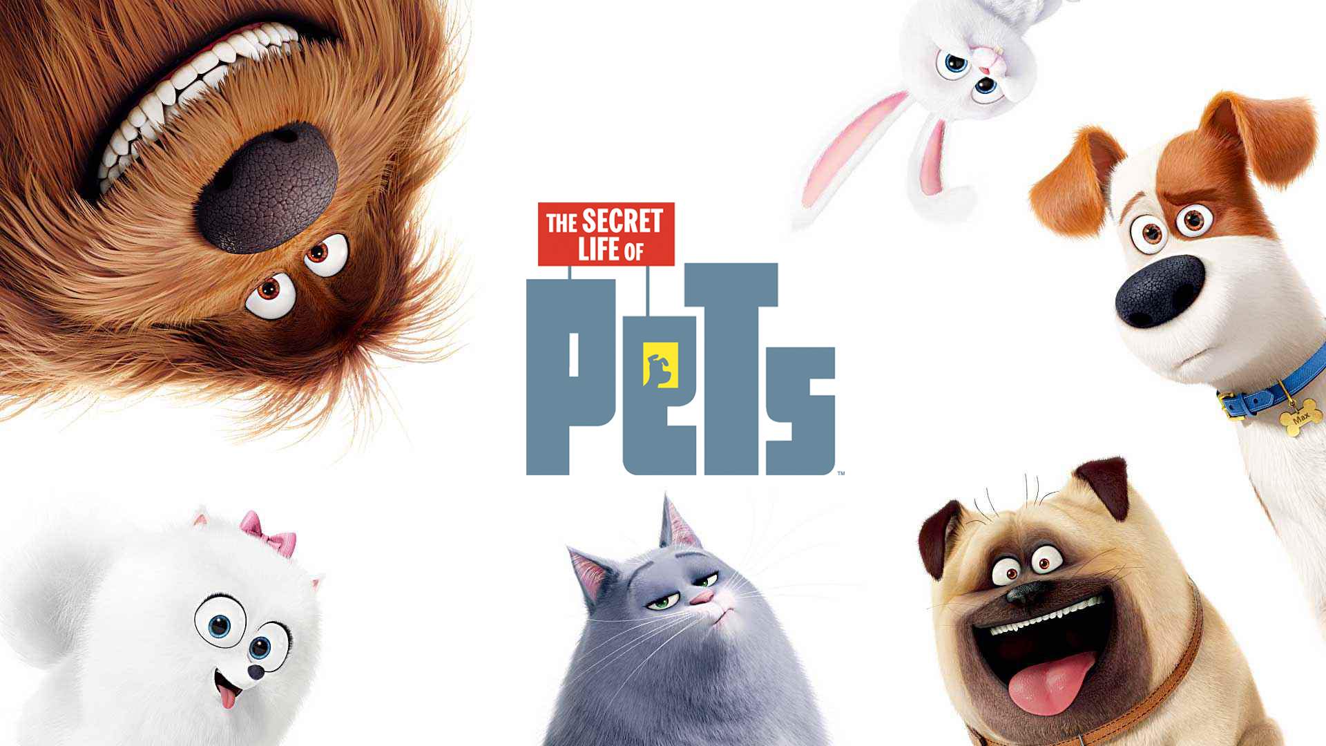 The Secret Life Of Pets 2 Wallpapers