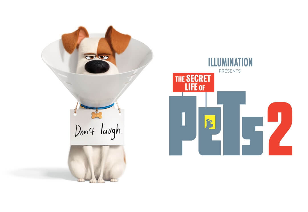 The Secret Life Of Pets 2 Movie Wallpapers