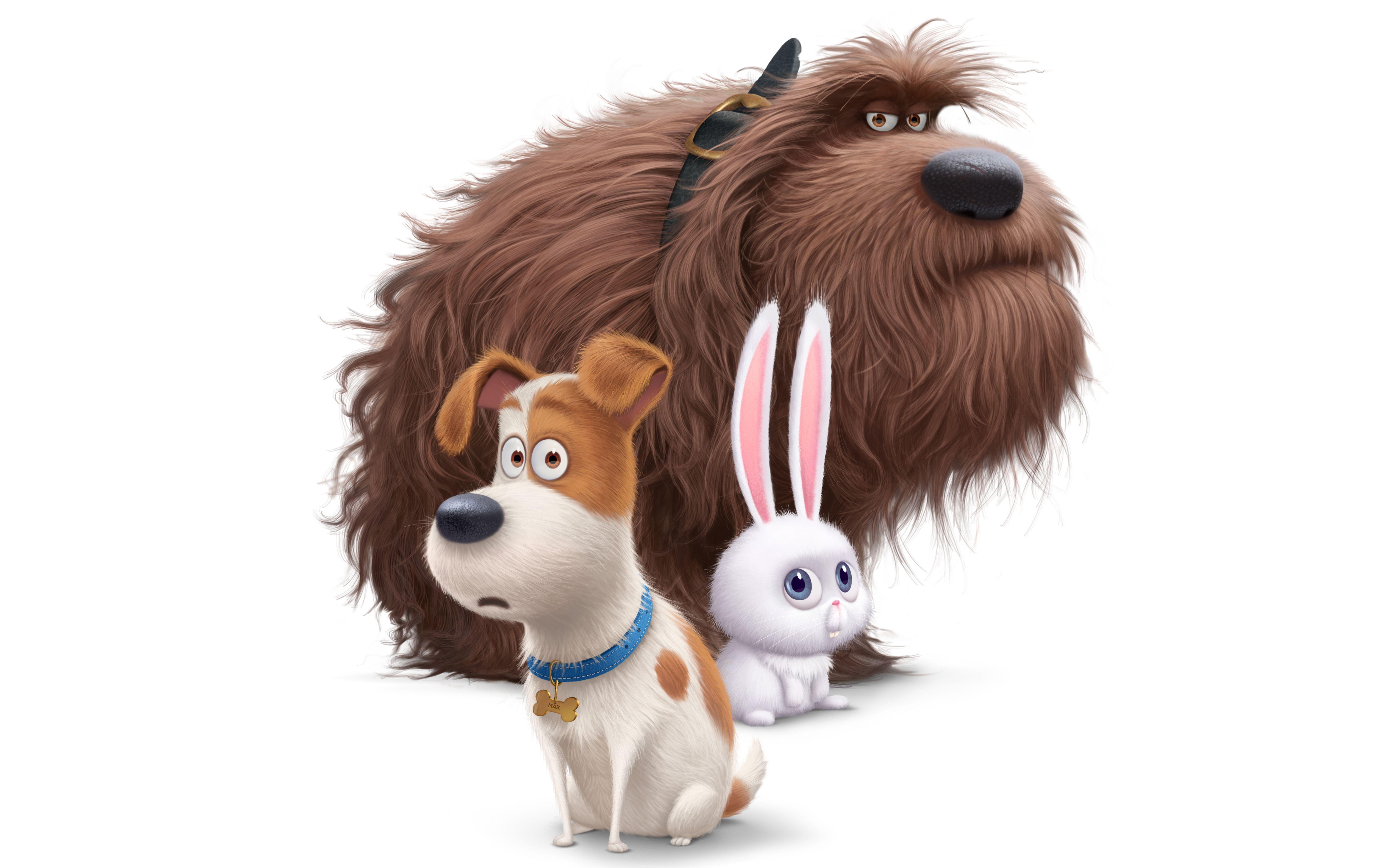 The Secret Life Of Pets 2 Movie Wallpapers