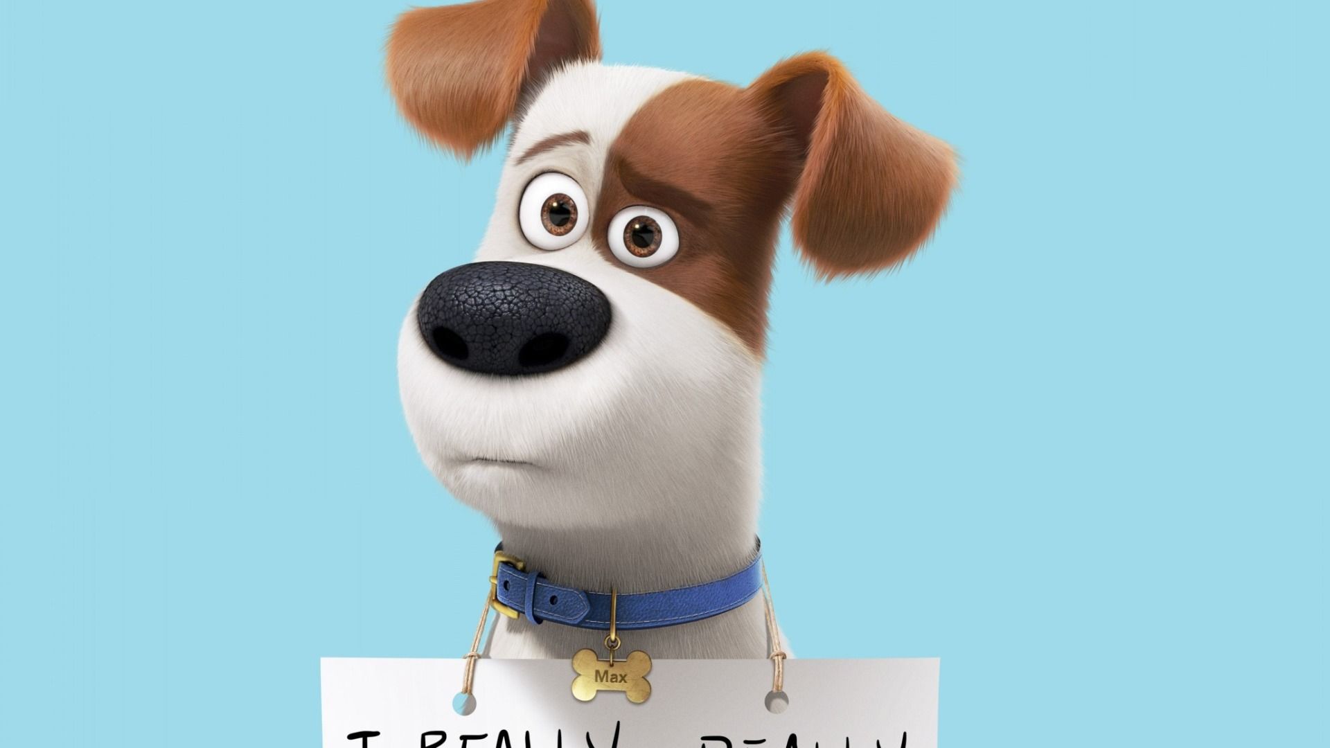 The Secret Life Of Pets 2 Movie Wallpapers