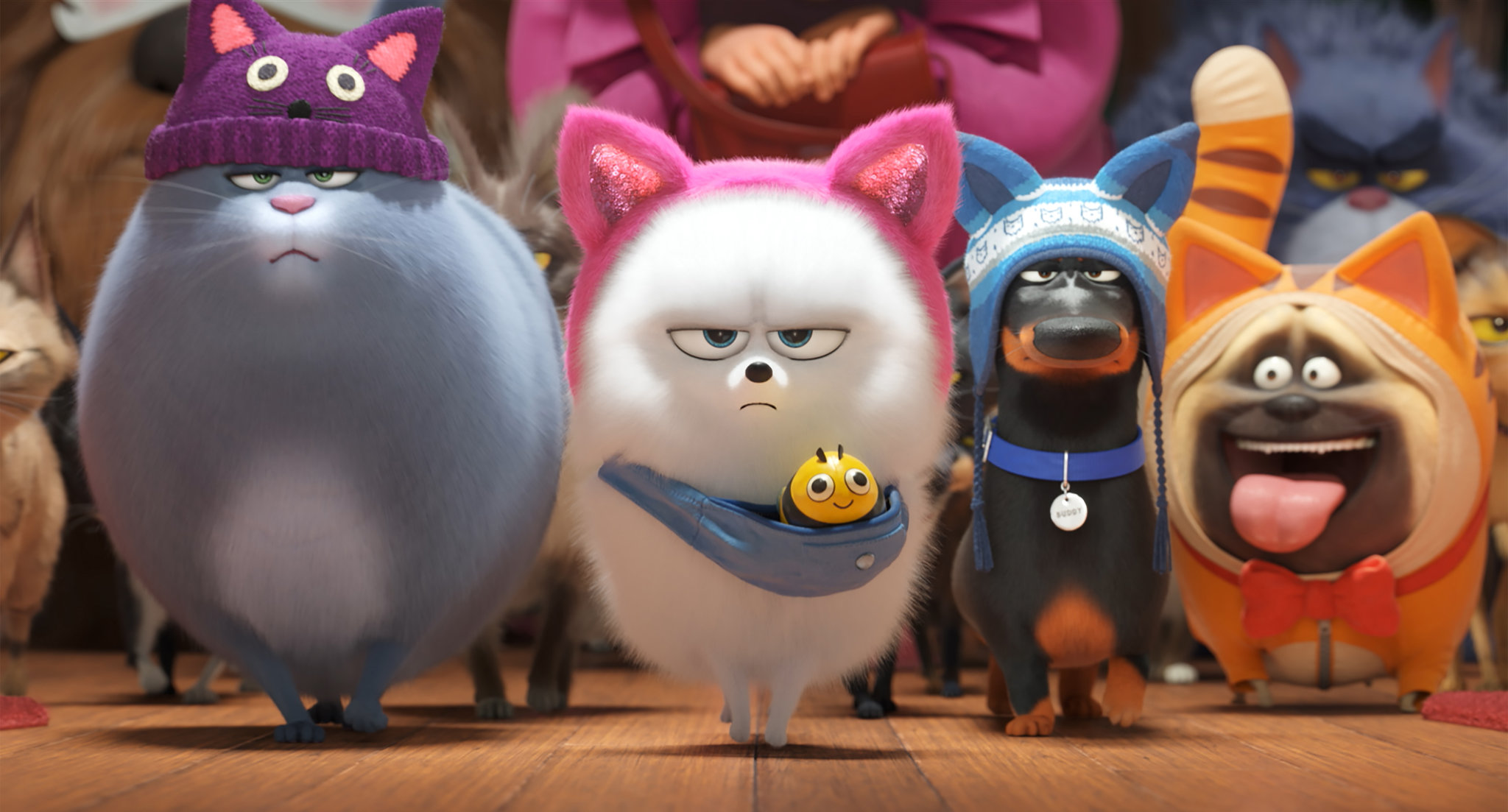 The Secret Life Of Pets 2019 Wallpapers