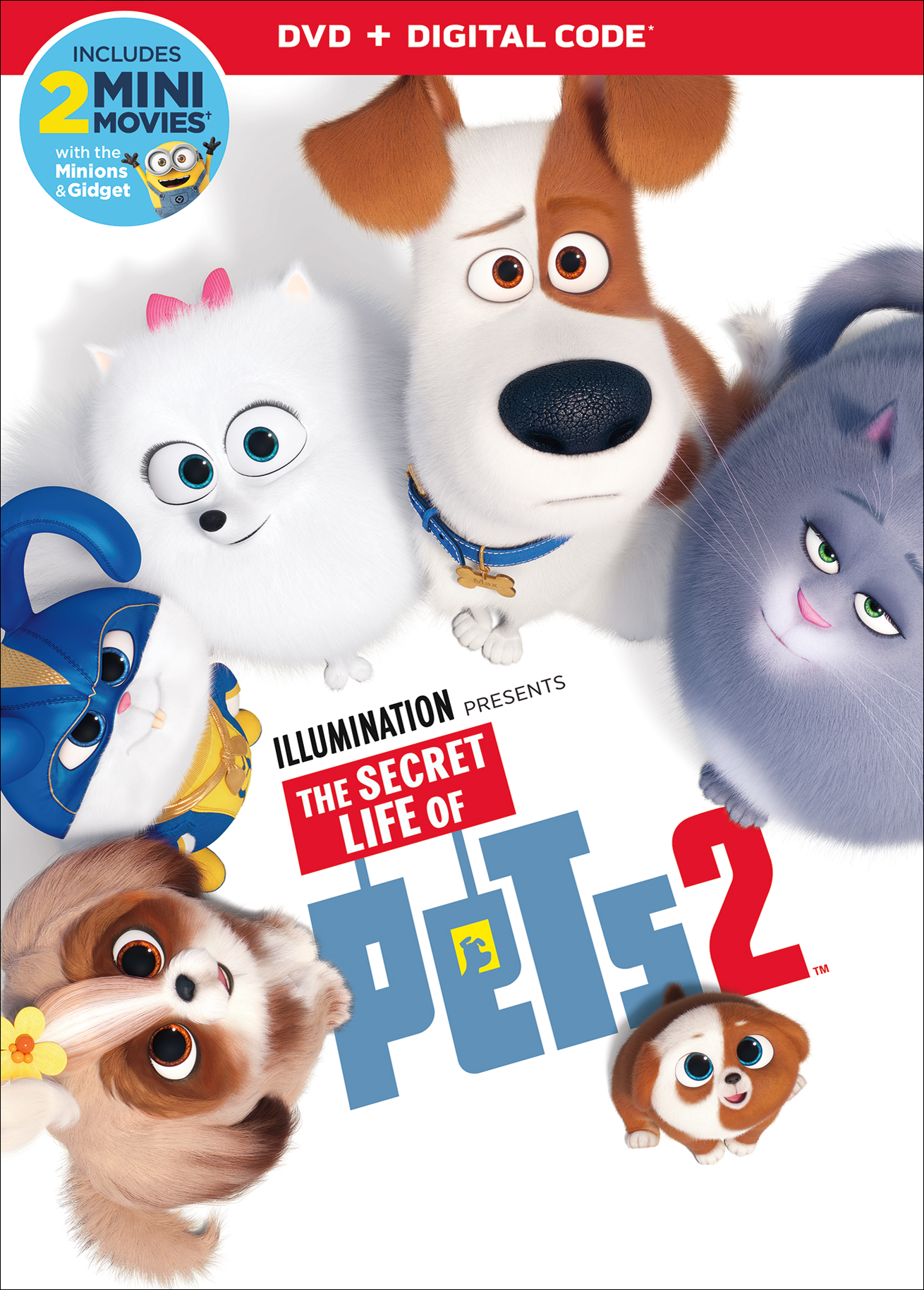 The Secret Life Of Pets 2019 Wallpapers