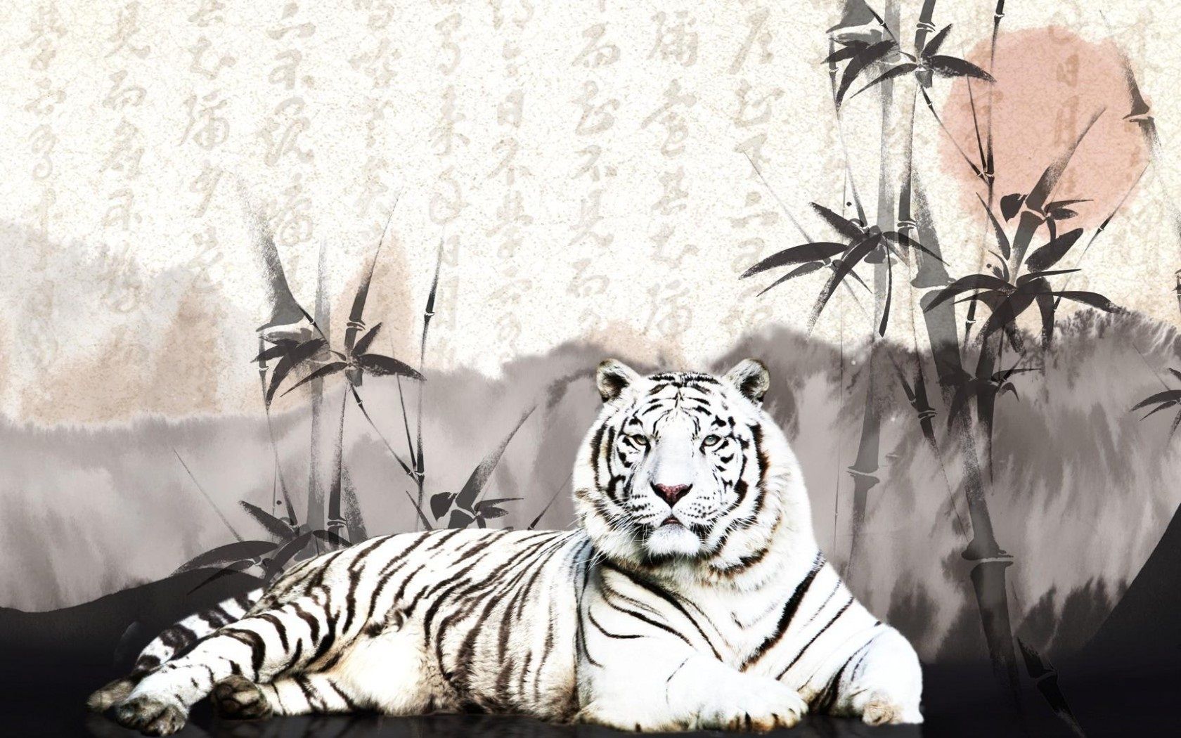 The White Tiger 2021 Wallpapers