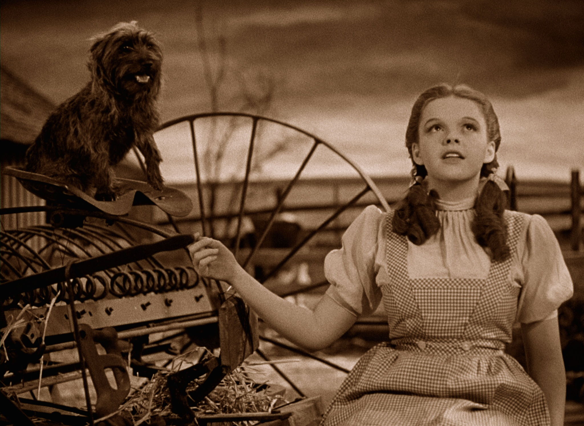 The Wizard Of Oz (1939) Wallpapers