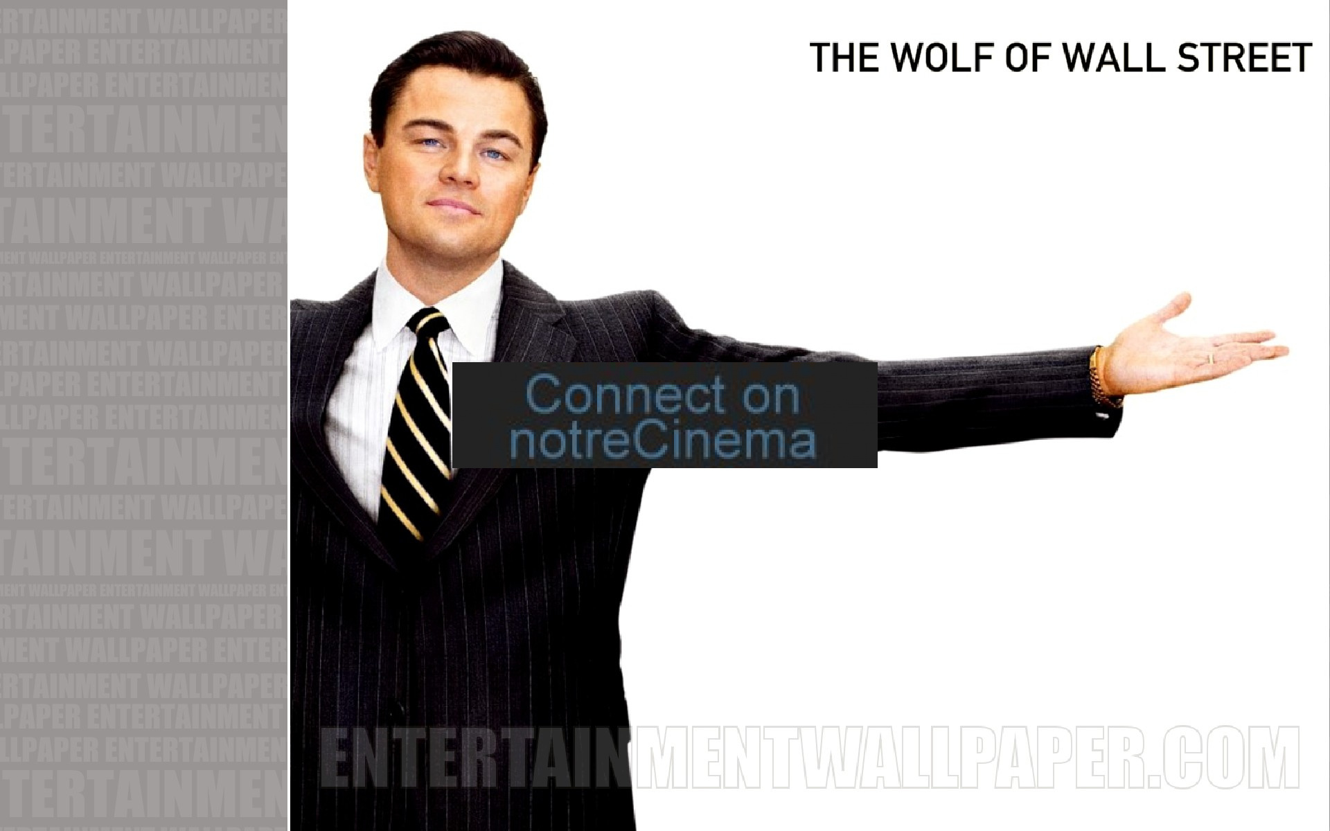 The Wolf Of Wall Street Wallpapers