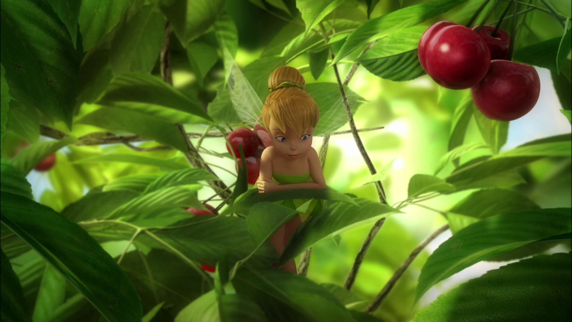 Tinker Bell And The Lost Treasure Wallpapers