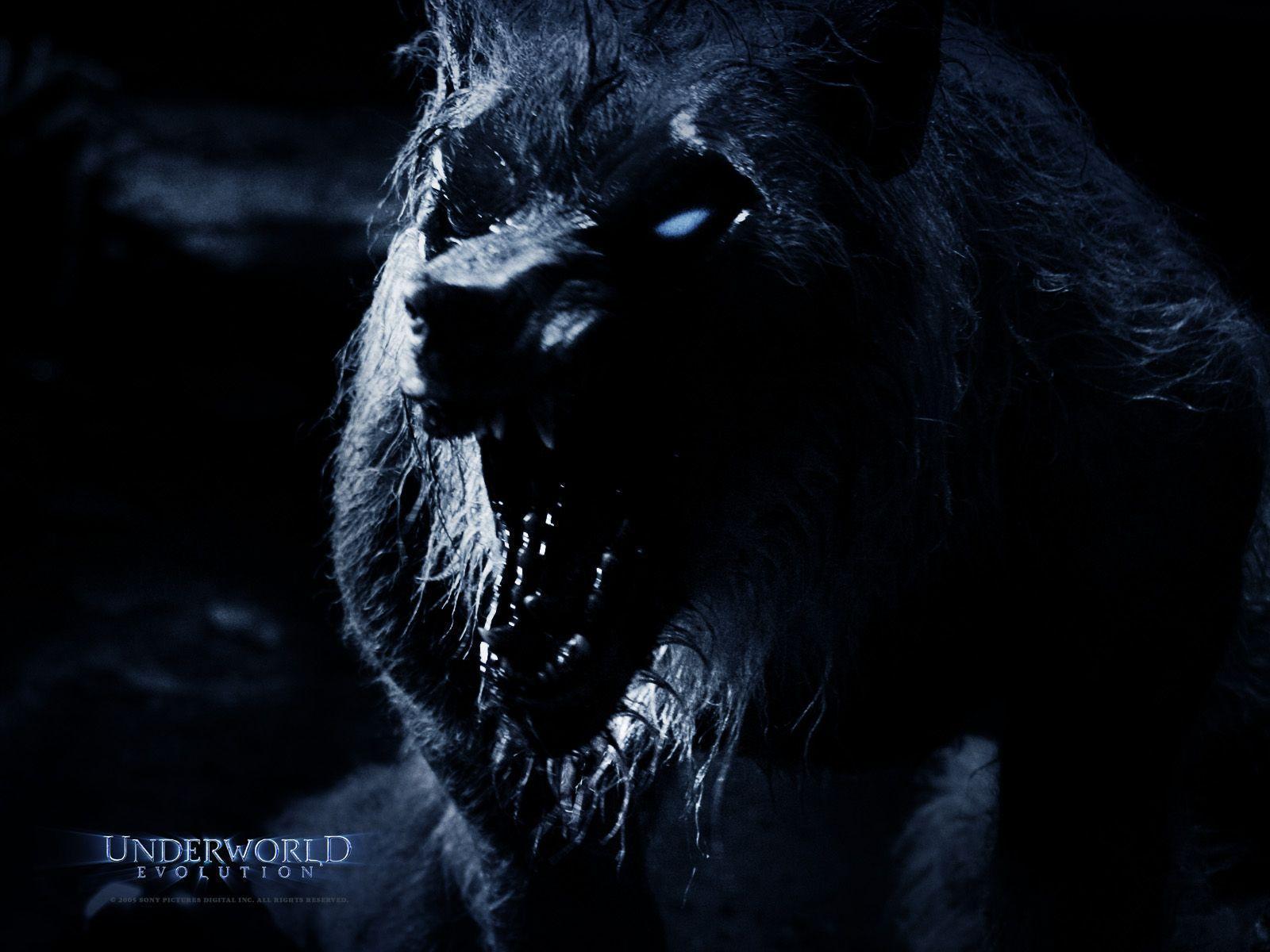 Underworld: Rise Of The Lycans Wallpapers