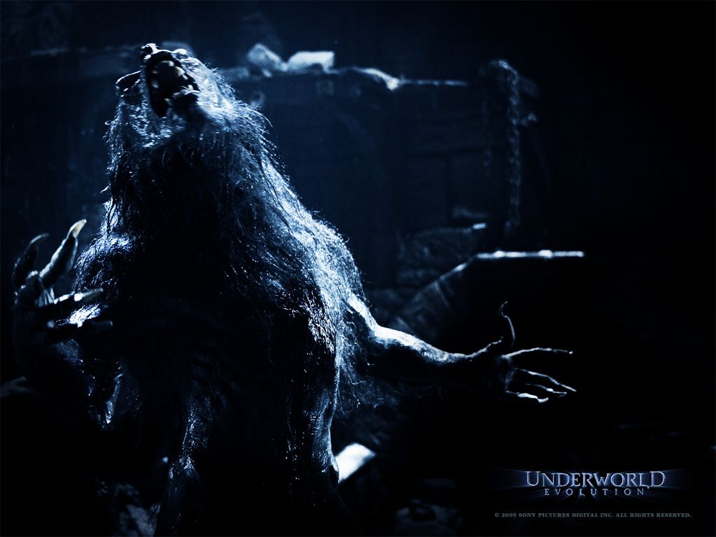 Underworld: Rise Of The Lycans Wallpapers