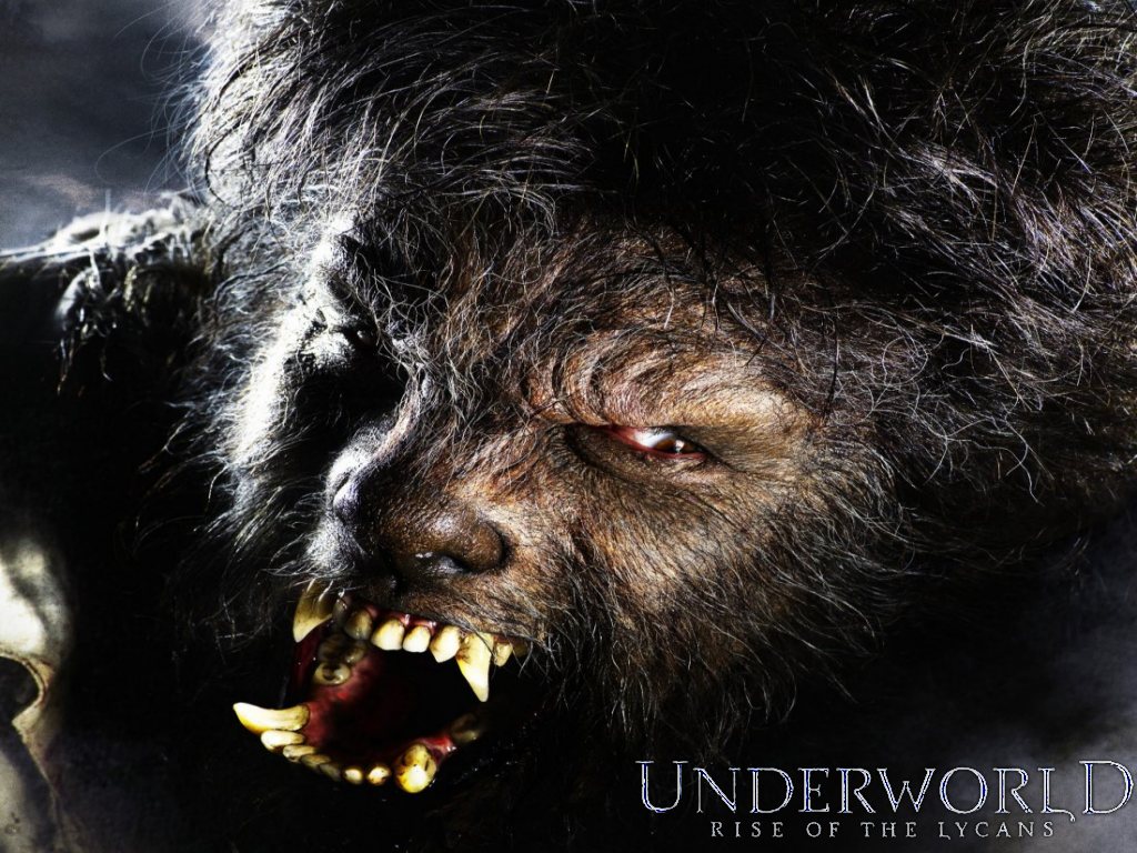 Underworld: Rise Of The Lycans Wallpapers