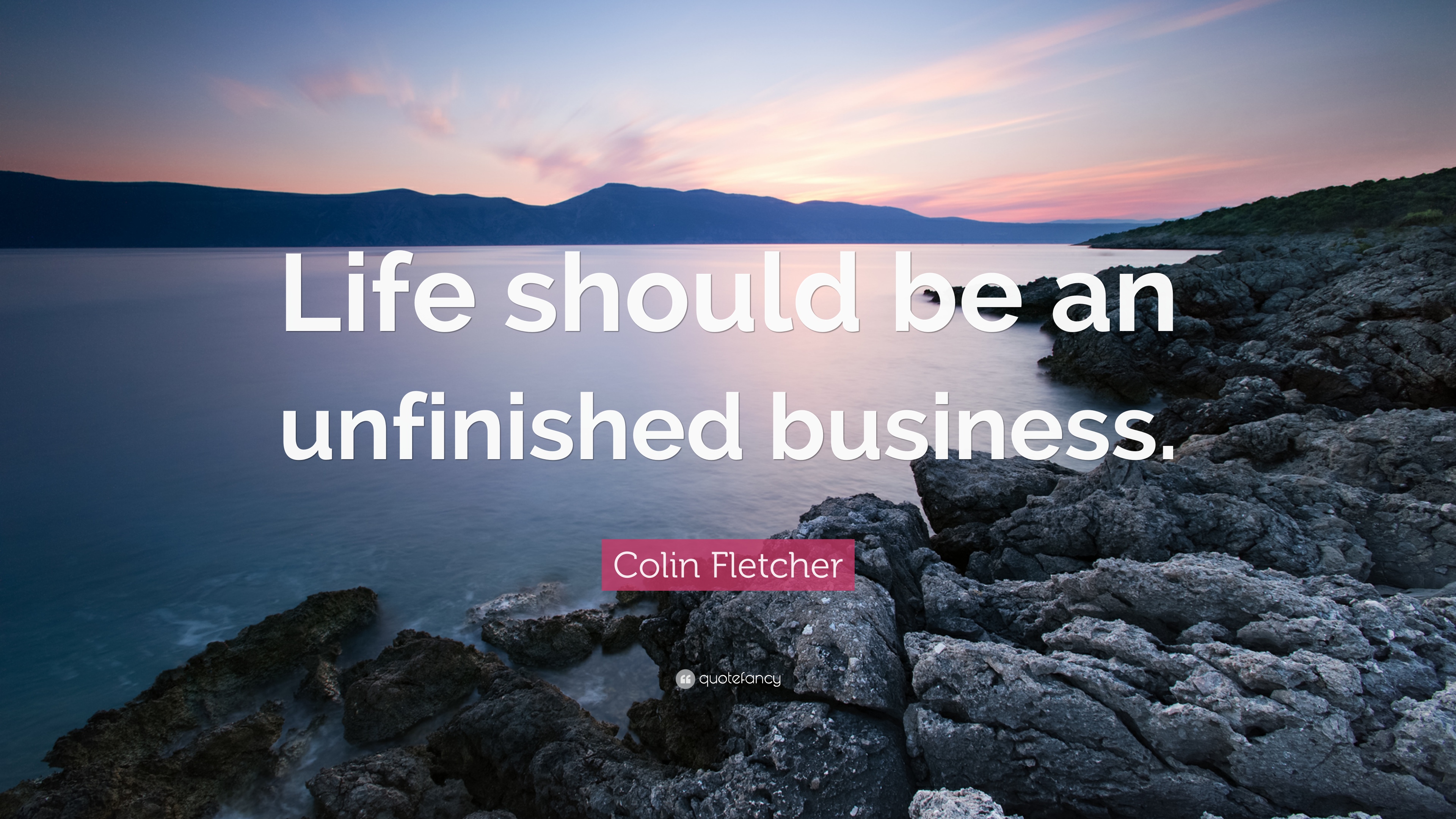 Unfinished Business Wallpapers