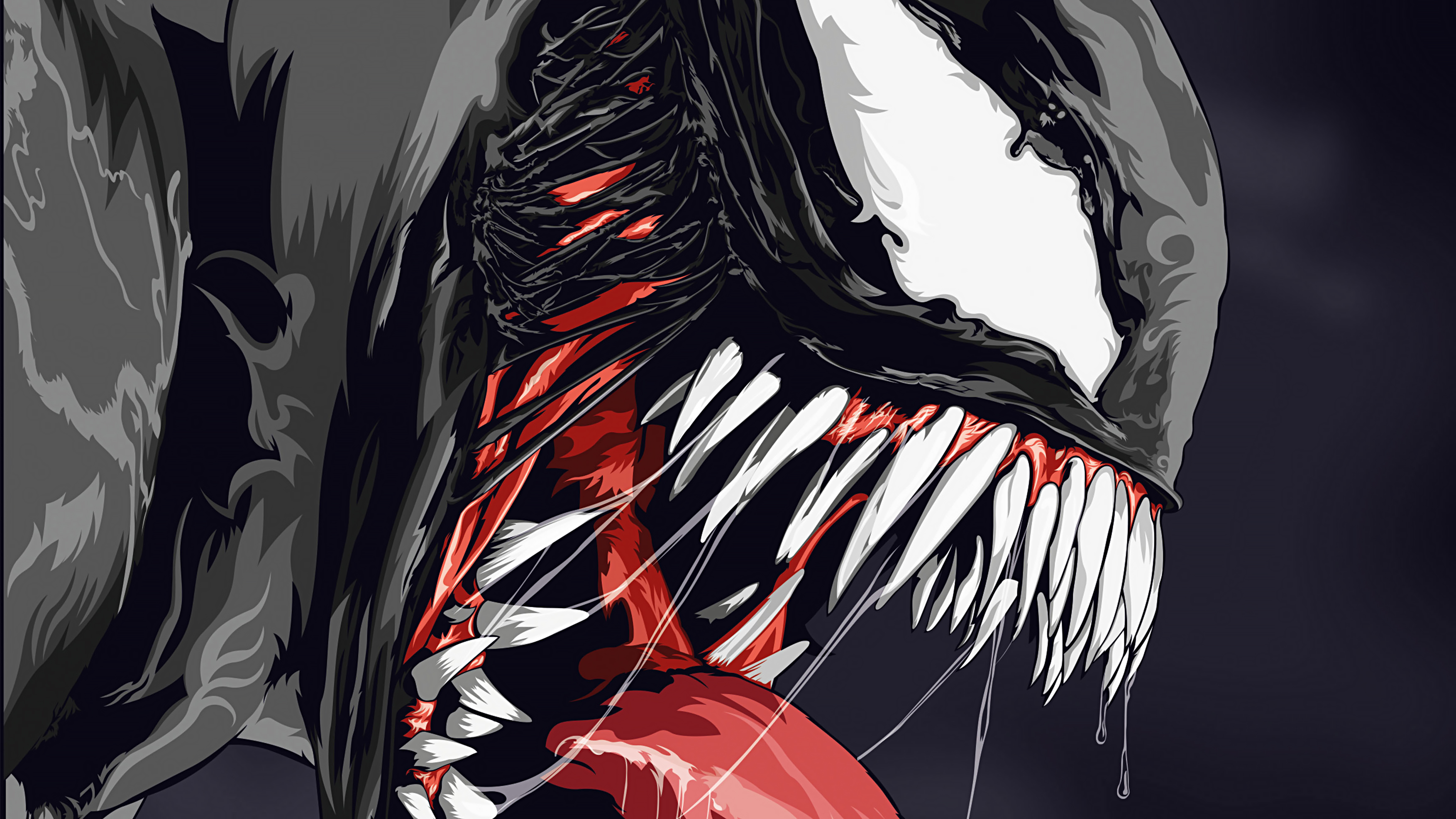 Venom Illustration Wallpapers