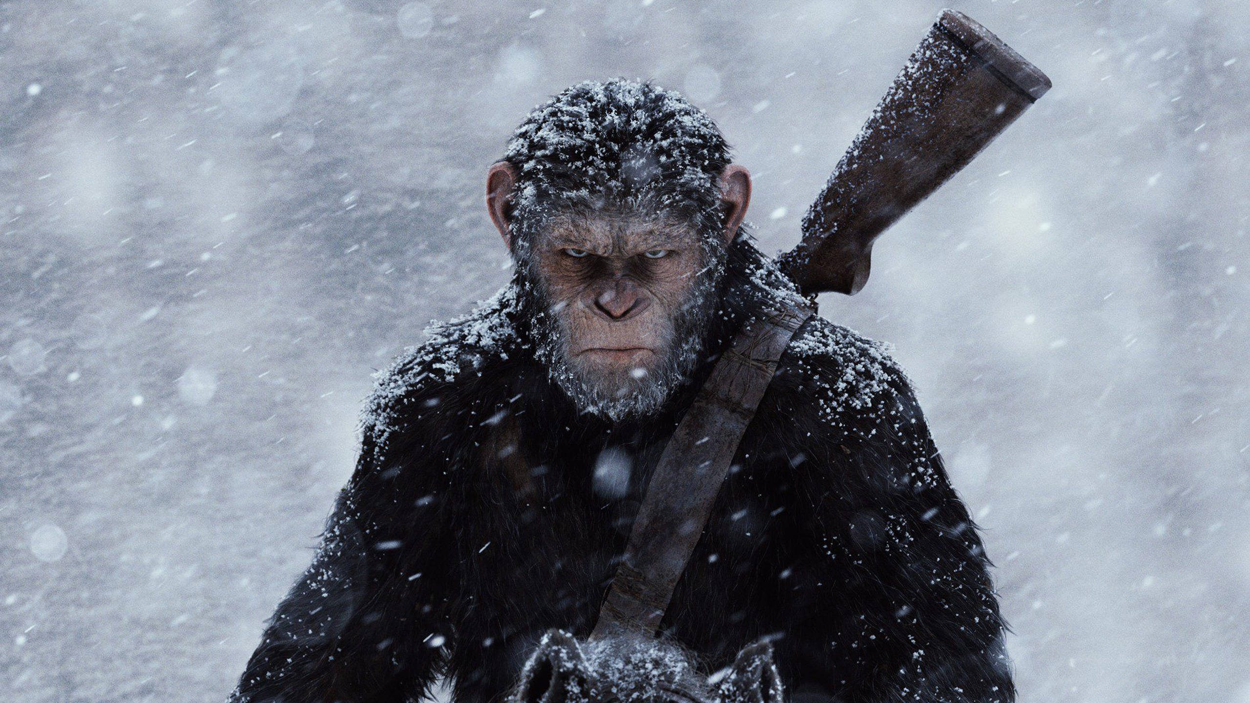 War For The Planet Of The Apes Wallpapers