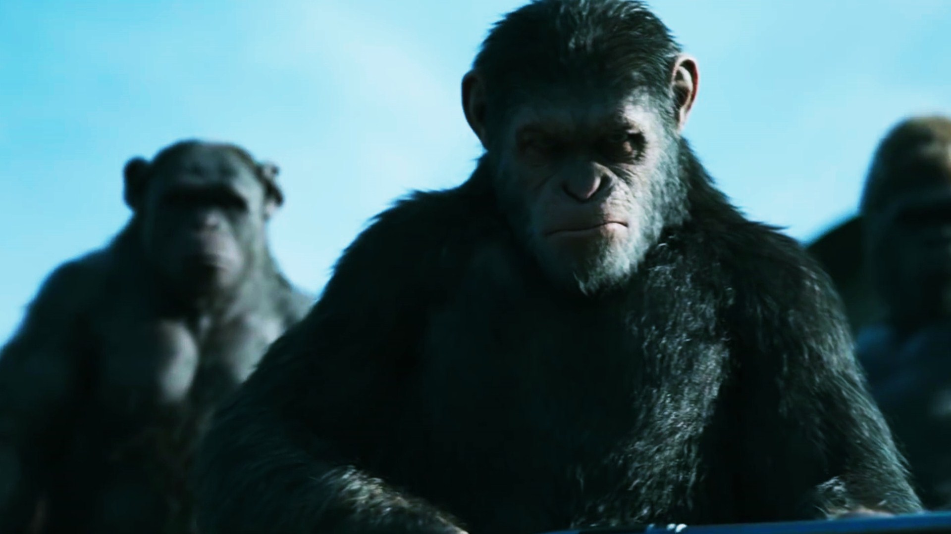 War For The Planet Of The Apes Wallpapers