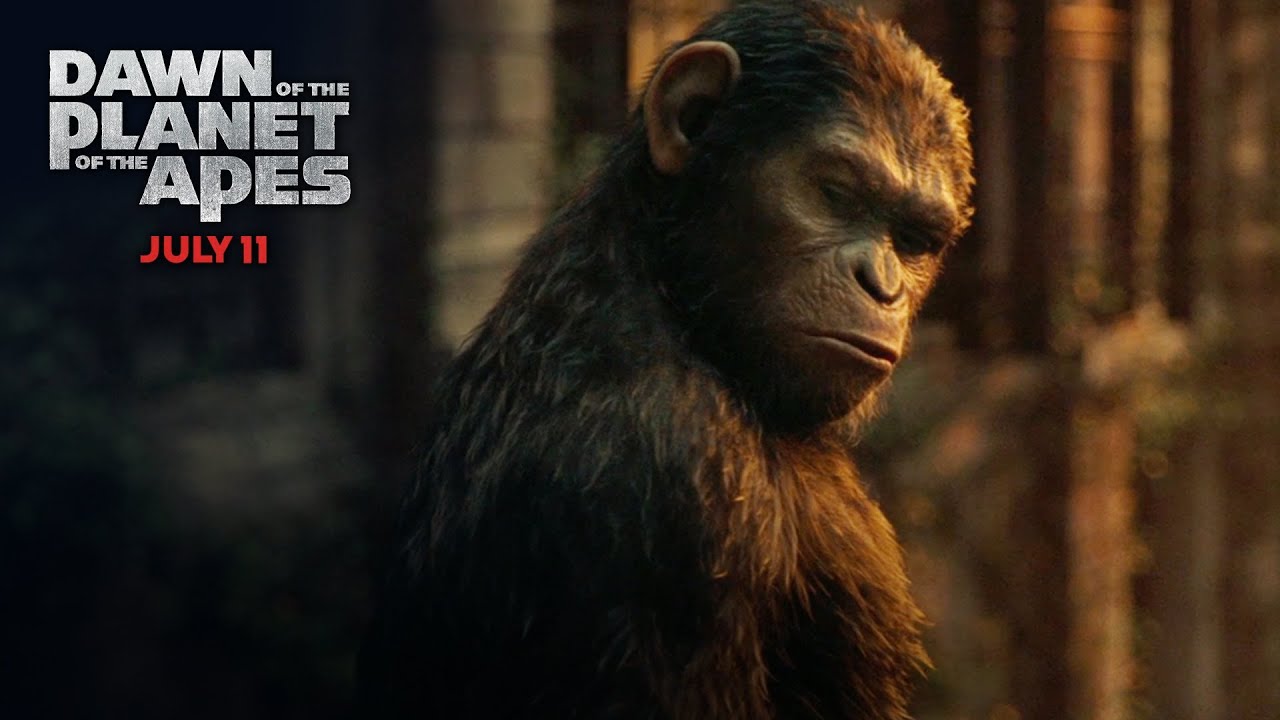 War For The Planet Of The Apes Movie Still Wallpapers