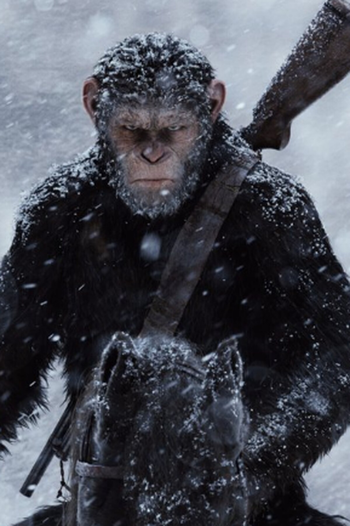 War For The Planet Of The Apes Movie Still Wallpapers