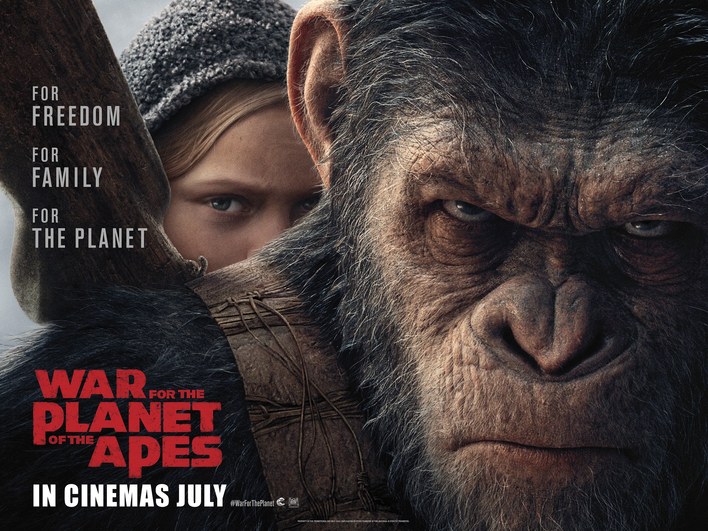 War For The Planet Of The Apes Movie Still Wallpapers