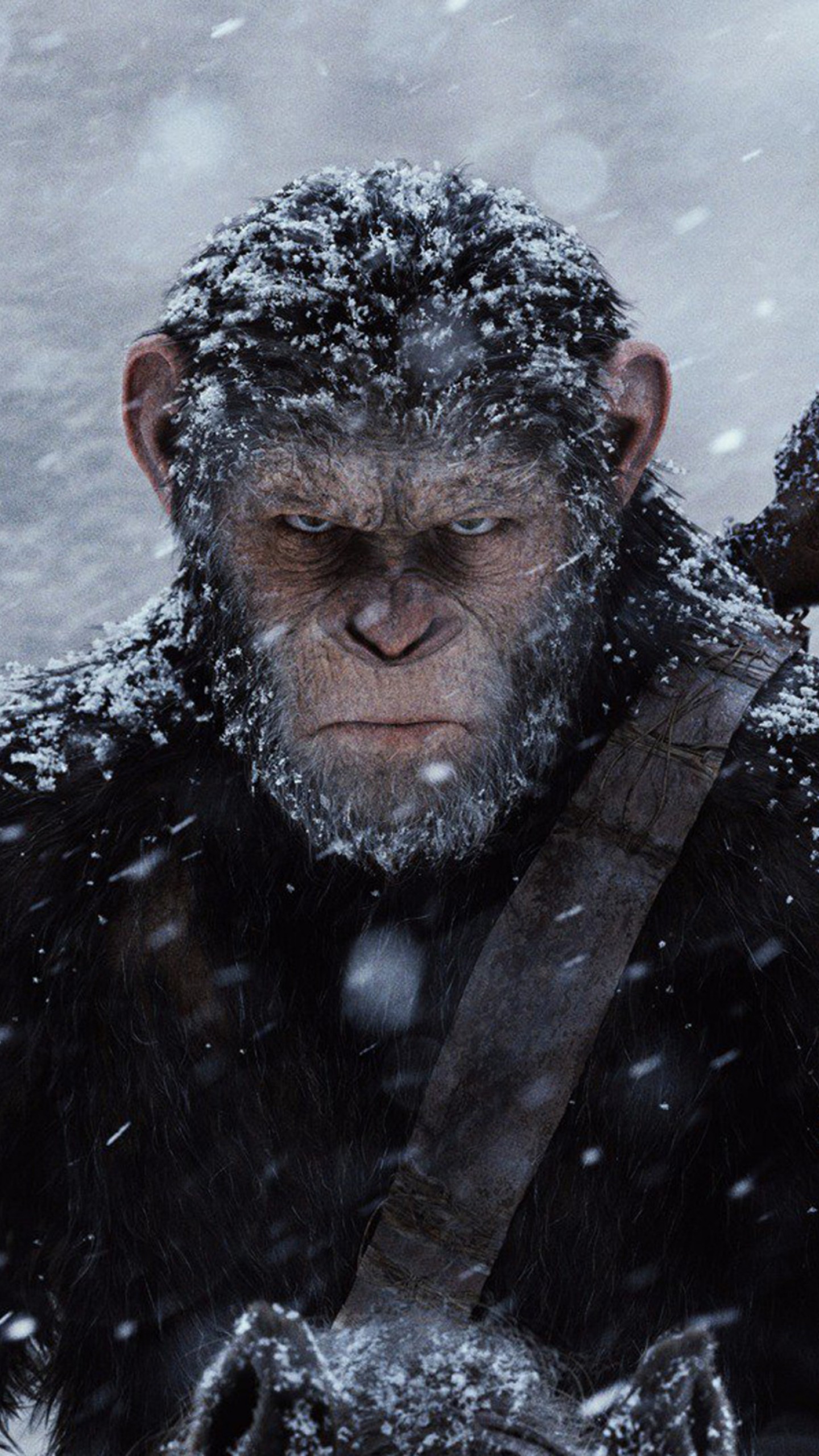 War For The Planet Of The Apes Poster Wallpapers