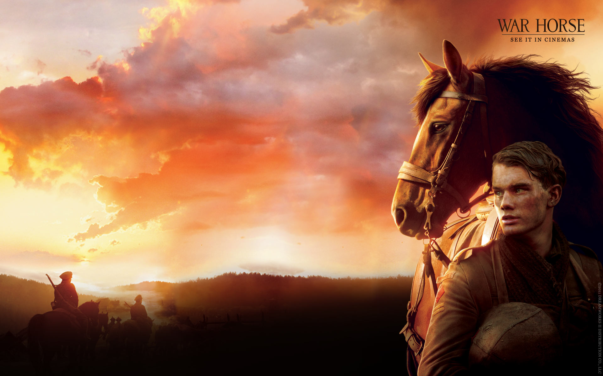 War Horse Wallpapers