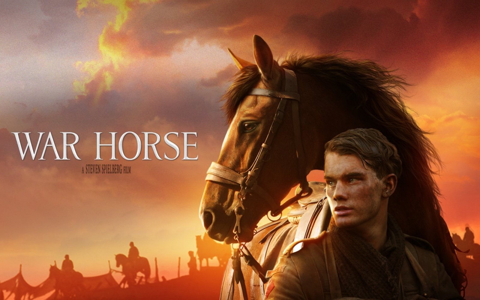 War Horse Wallpapers