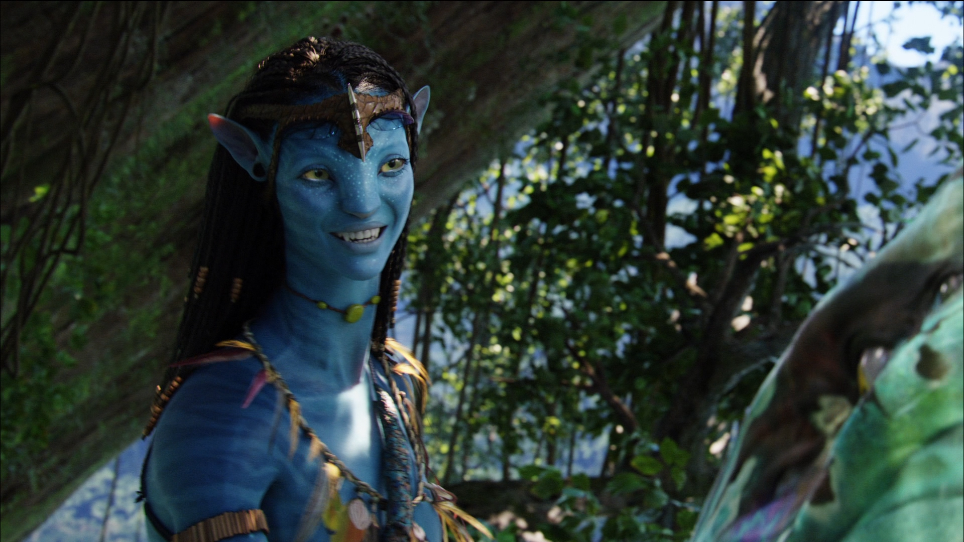 Zoe Saldana As Neytiri In Avatar Wallpapers