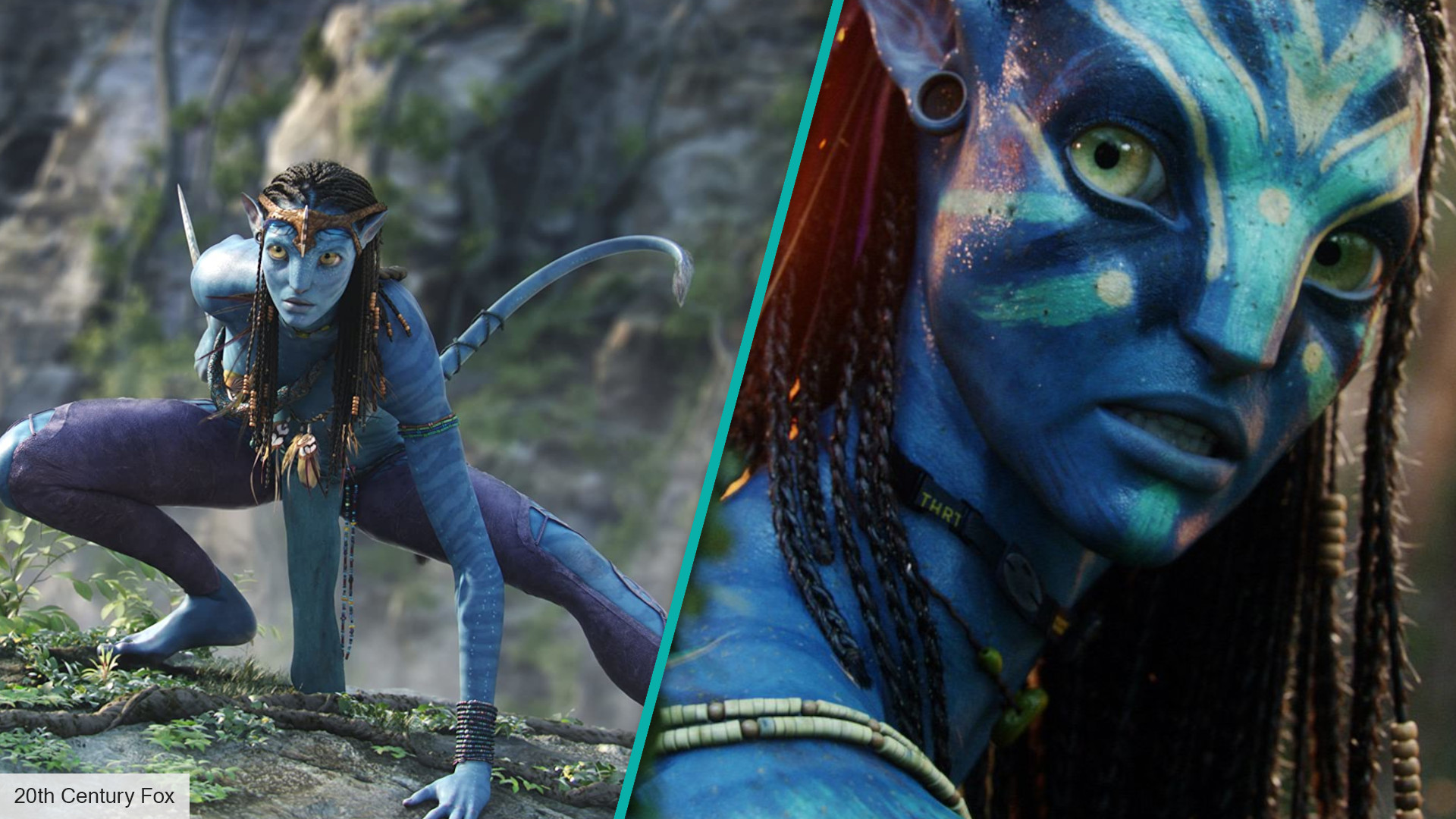 Zoe Saldana From Avatar Movie Wallpapers