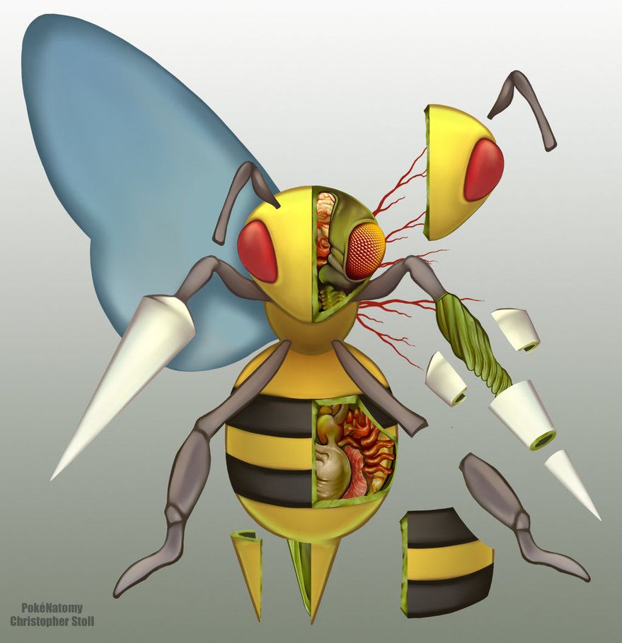 Beedrill Hd Wallpapers