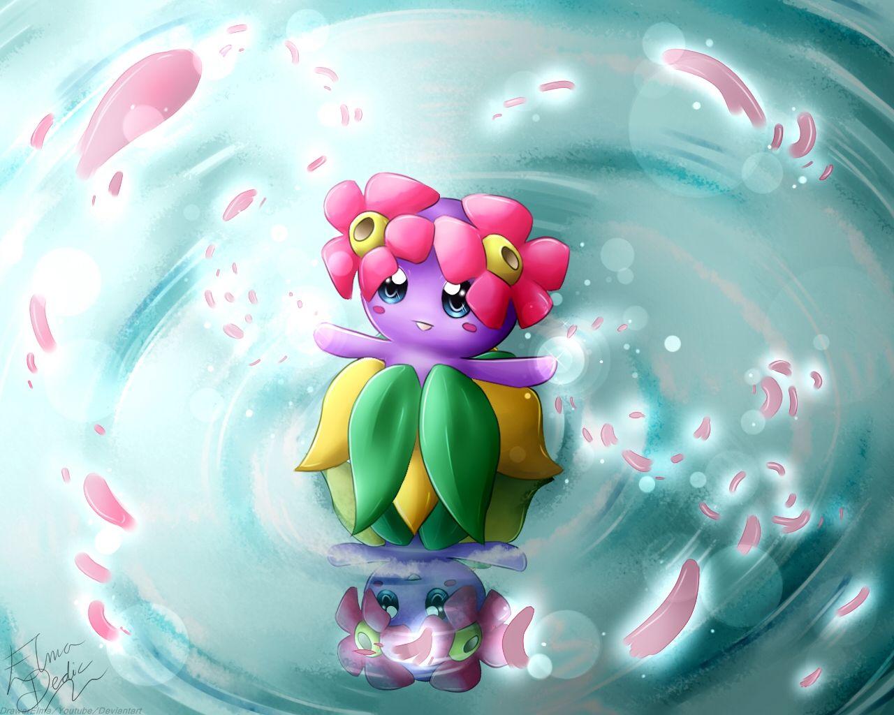 Bellossom Hd Wallpapers