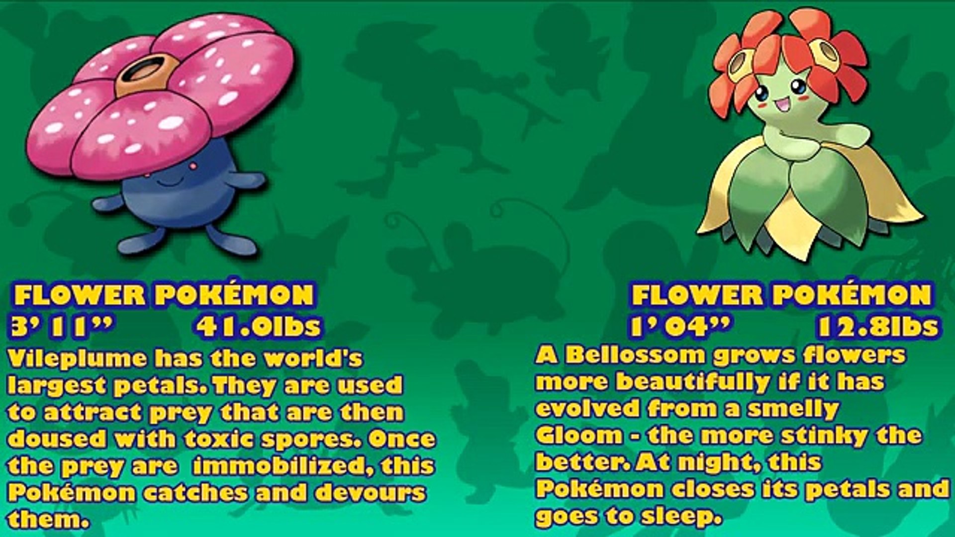 Bellossom Hd Wallpapers