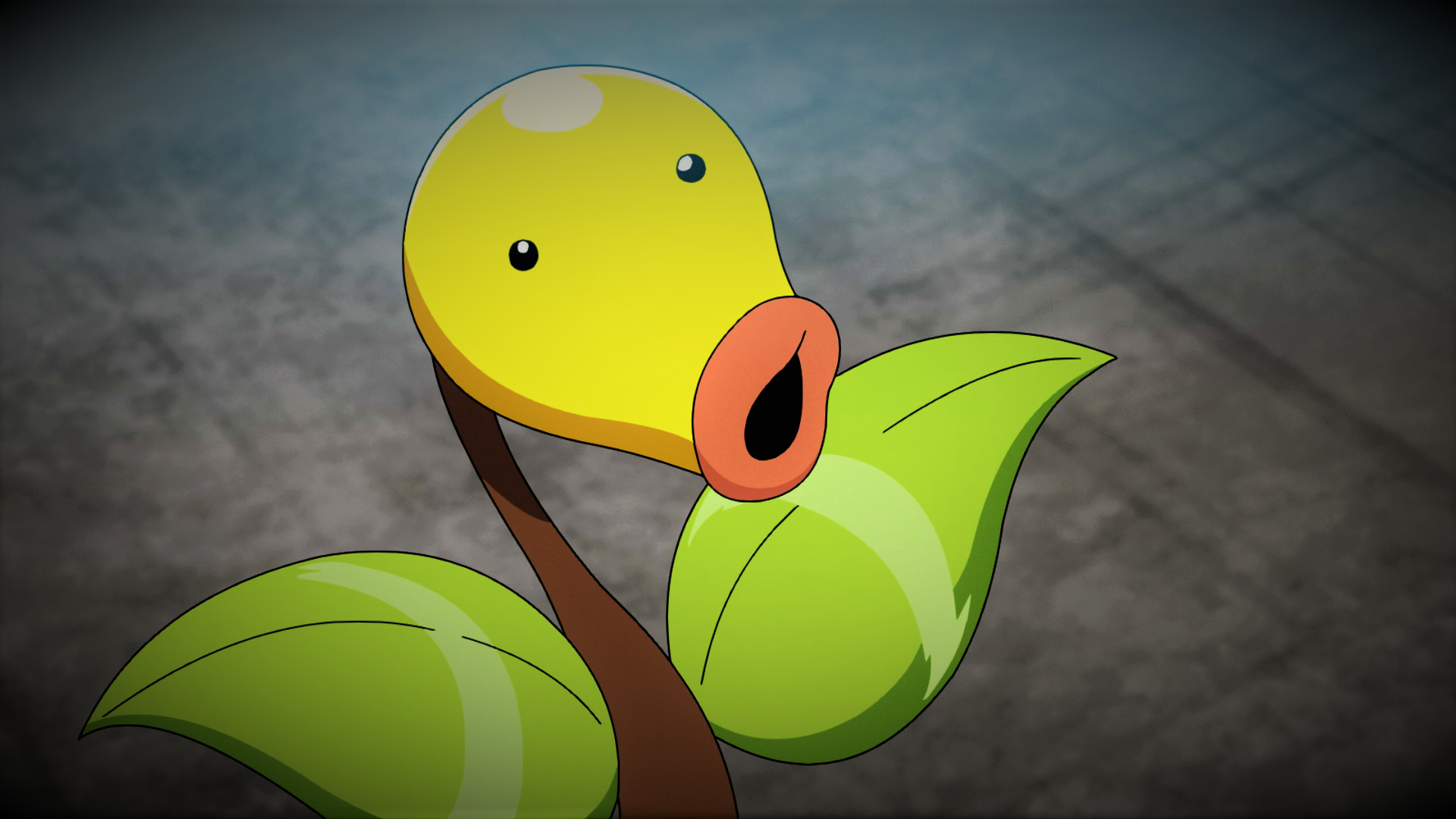 Bellsprout Hd Wallpapers