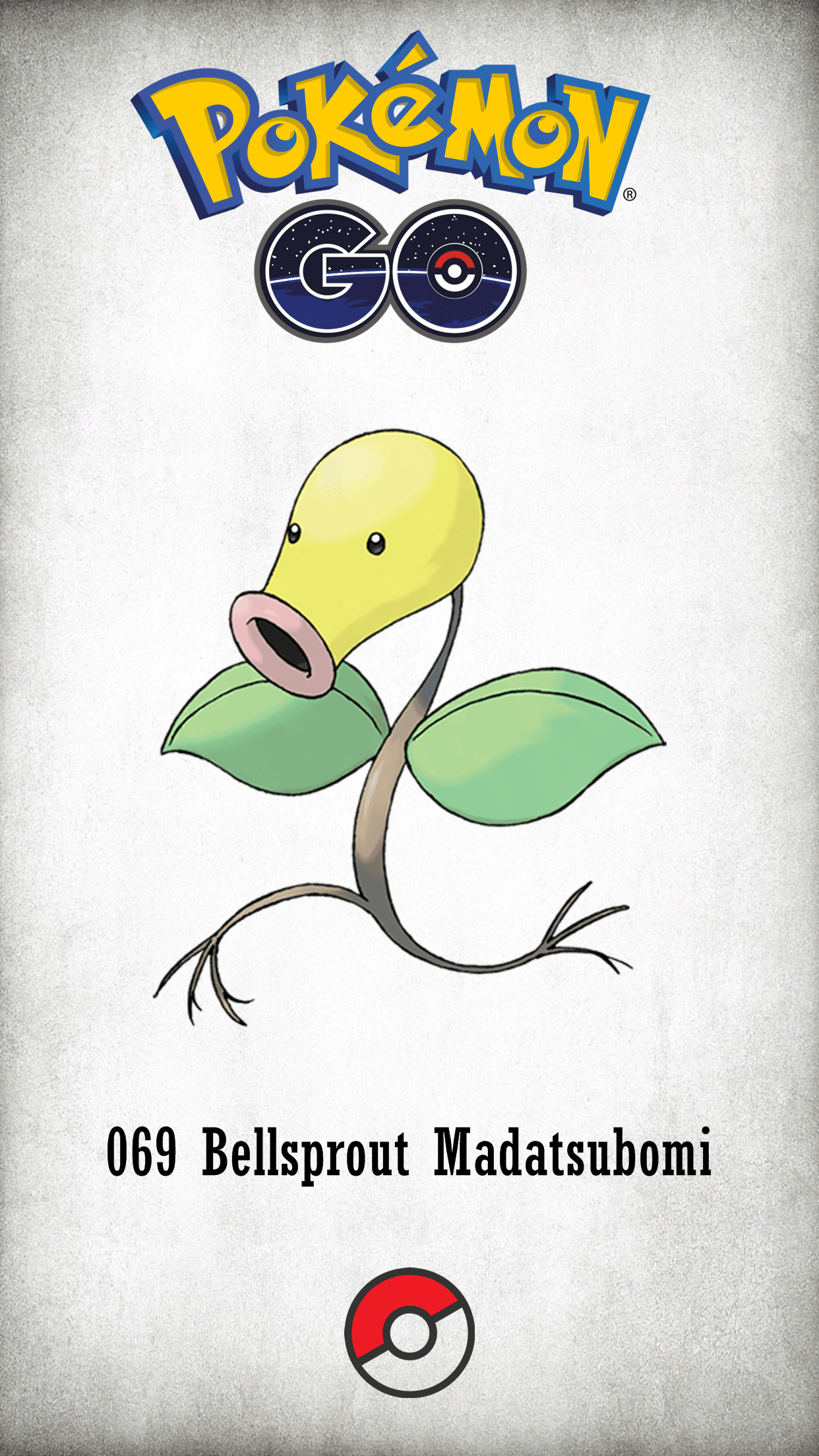 Bellsprout Hd Wallpapers