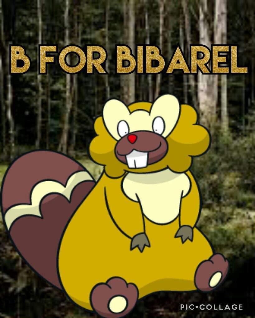 Bibarel Hd Wallpapers