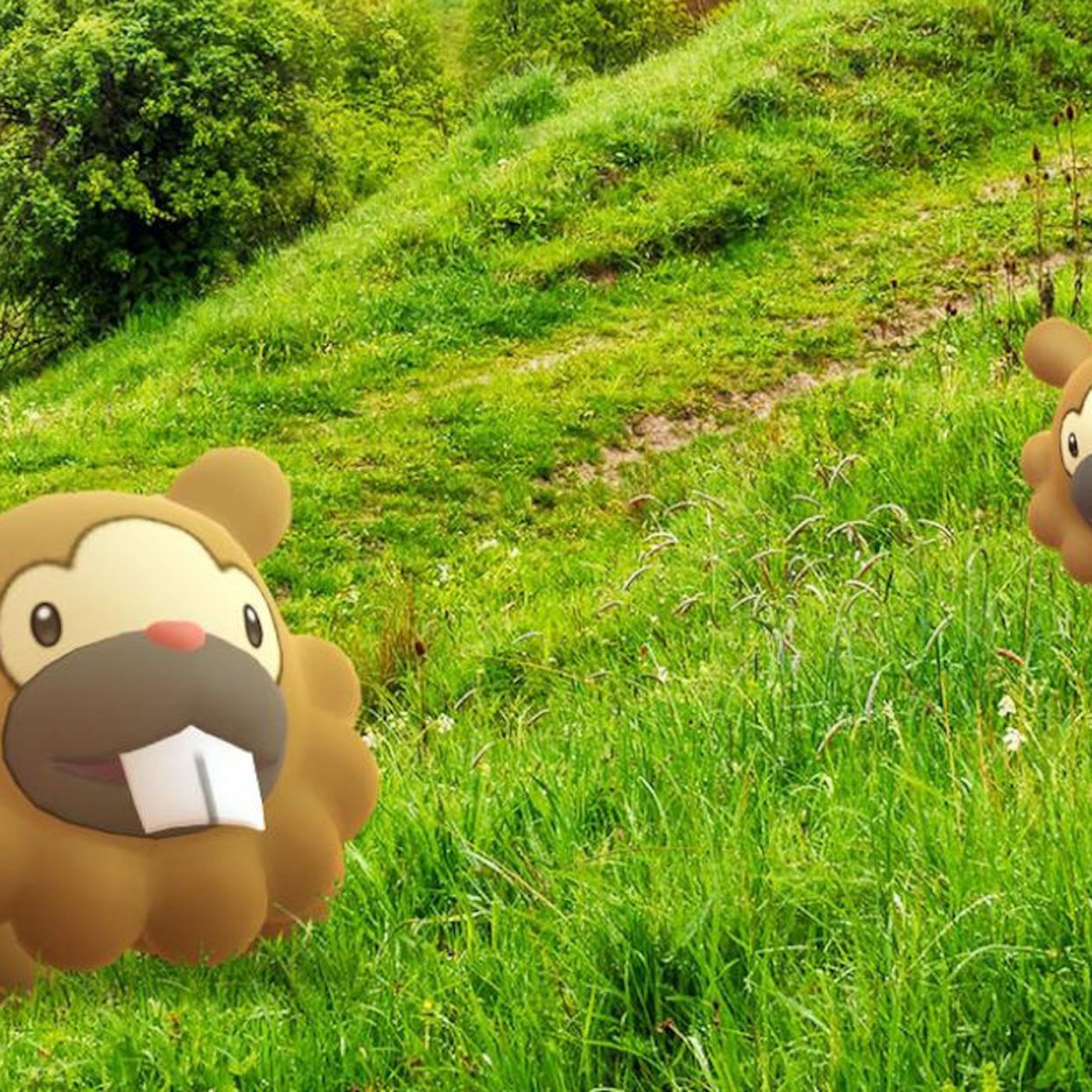 Bidoof Hd Wallpapers