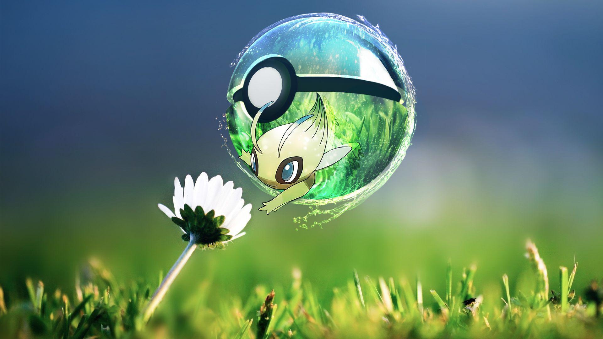 Celebi Hd Wallpapers