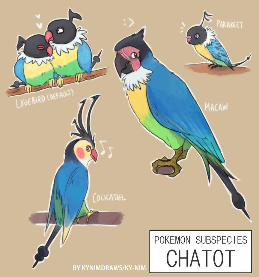 Chatot Hd Wallpapers