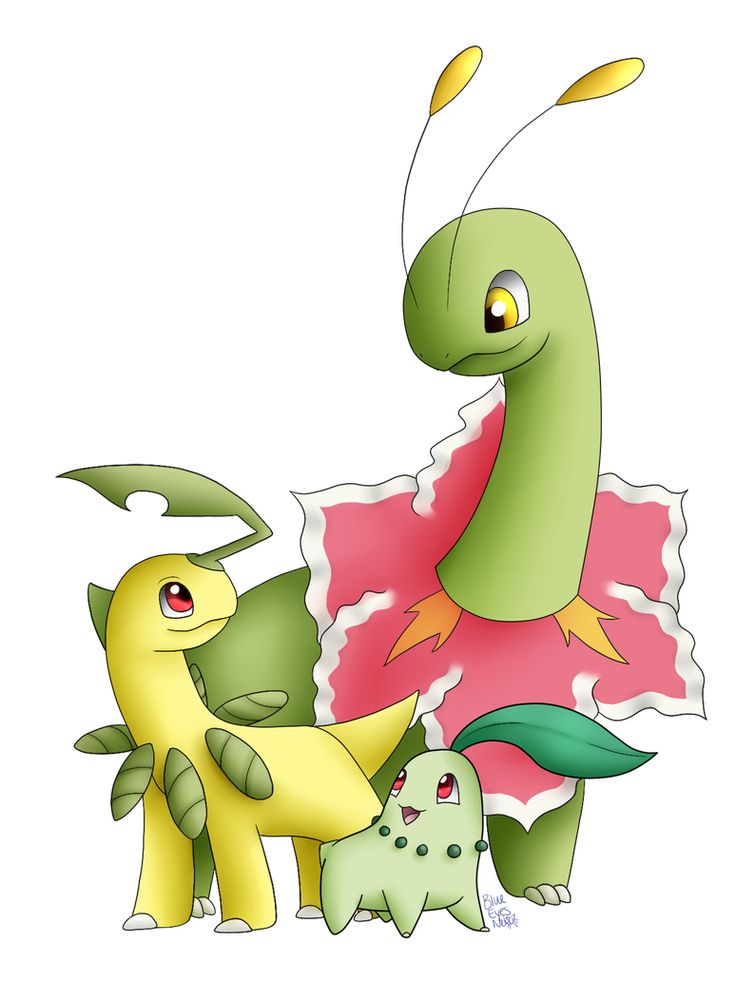 Chikorita Hd Wallpapers