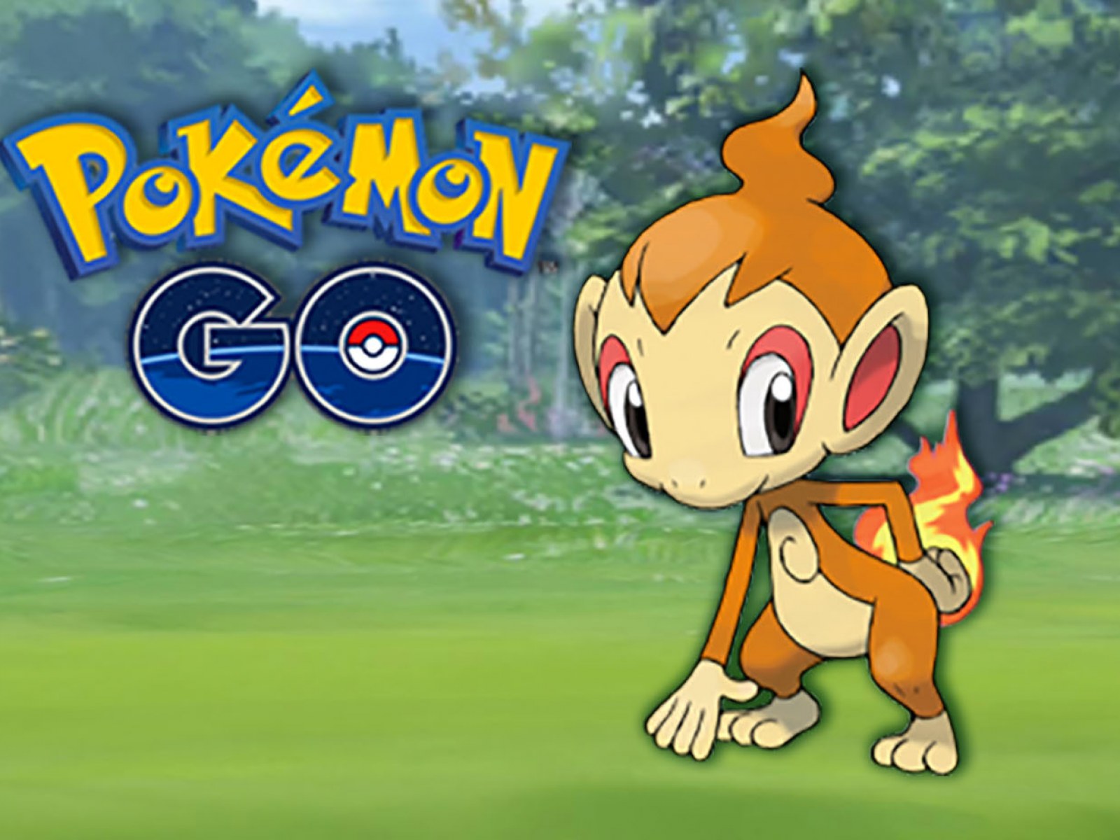 Chimchar Hd Wallpapers