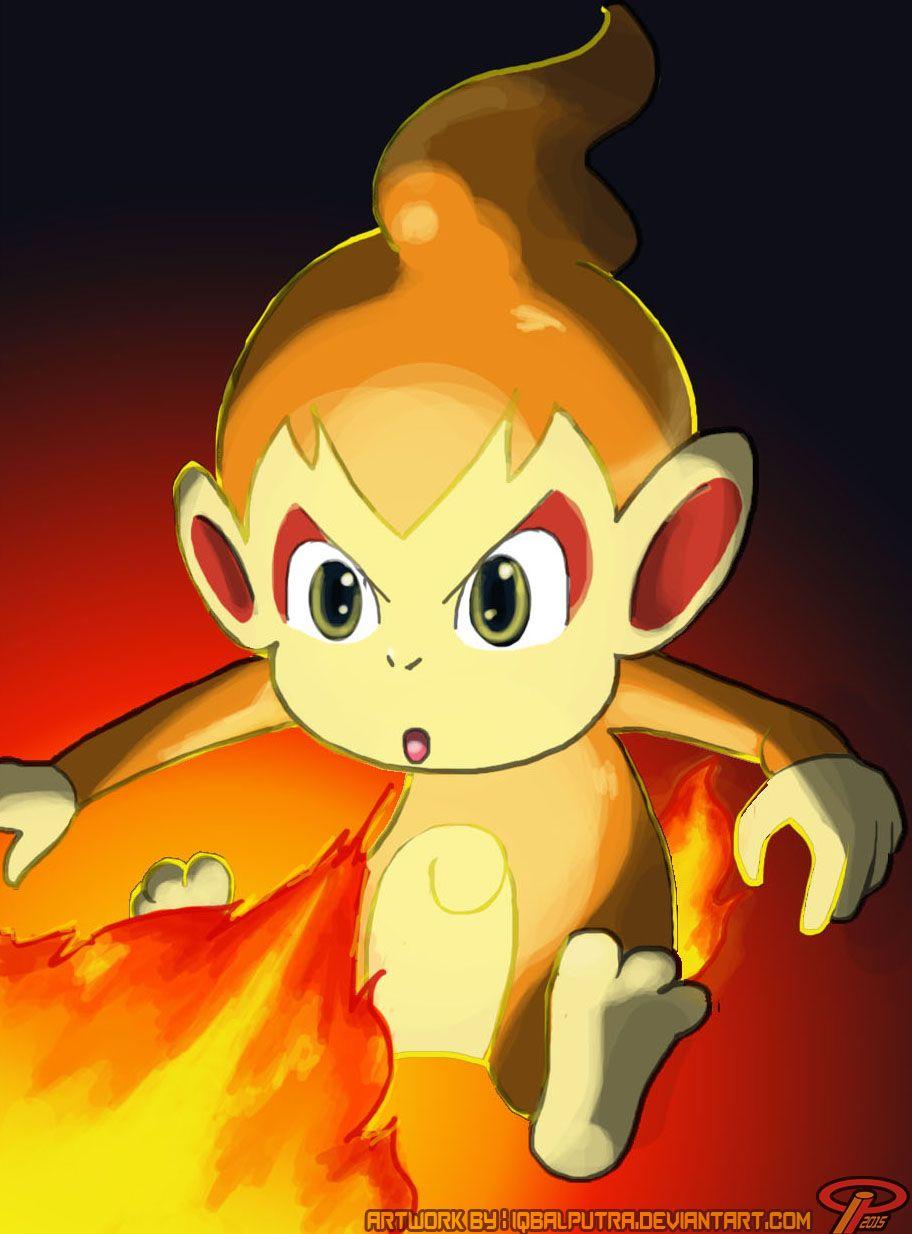 Chimchar Hd Wallpapers