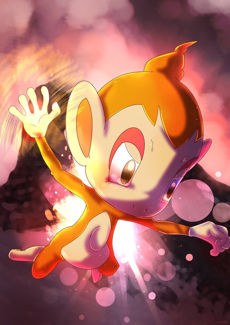 Chimchar Hd Wallpapers