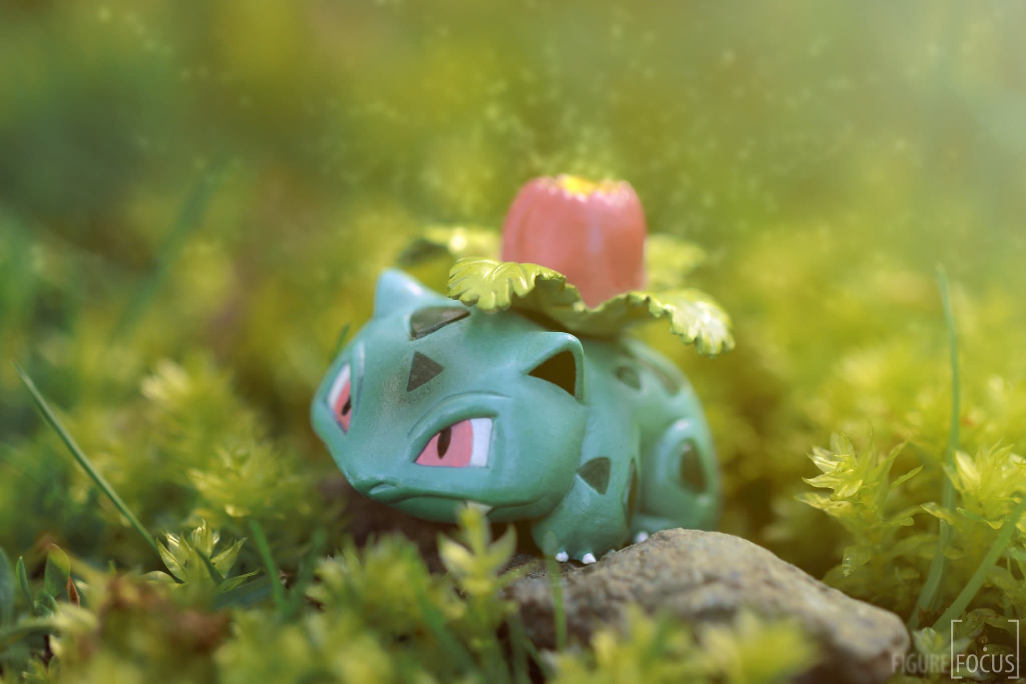 Ivysaur Hd Wallpapers