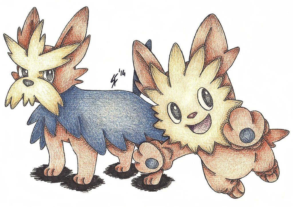 Lillipup Hd Wallpapers