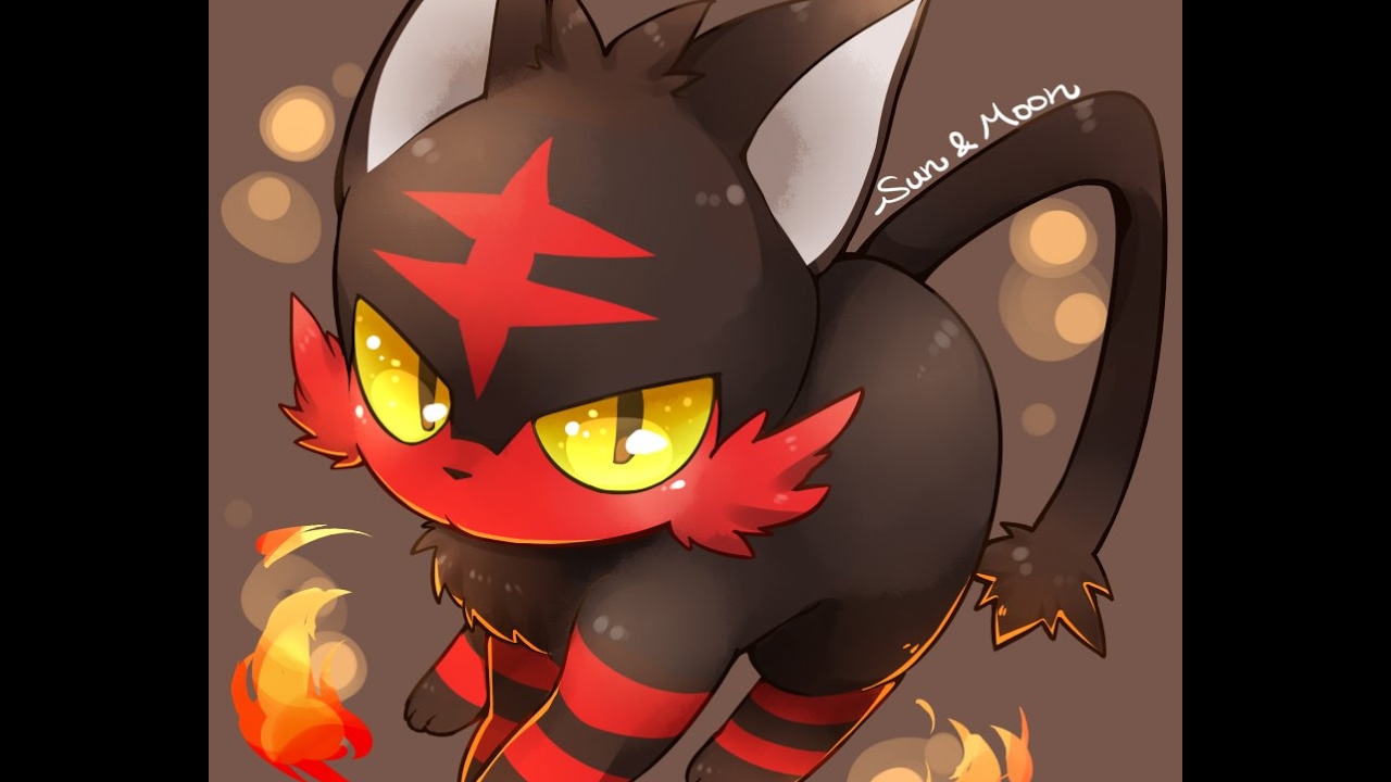 Litten Hd Wallpapers