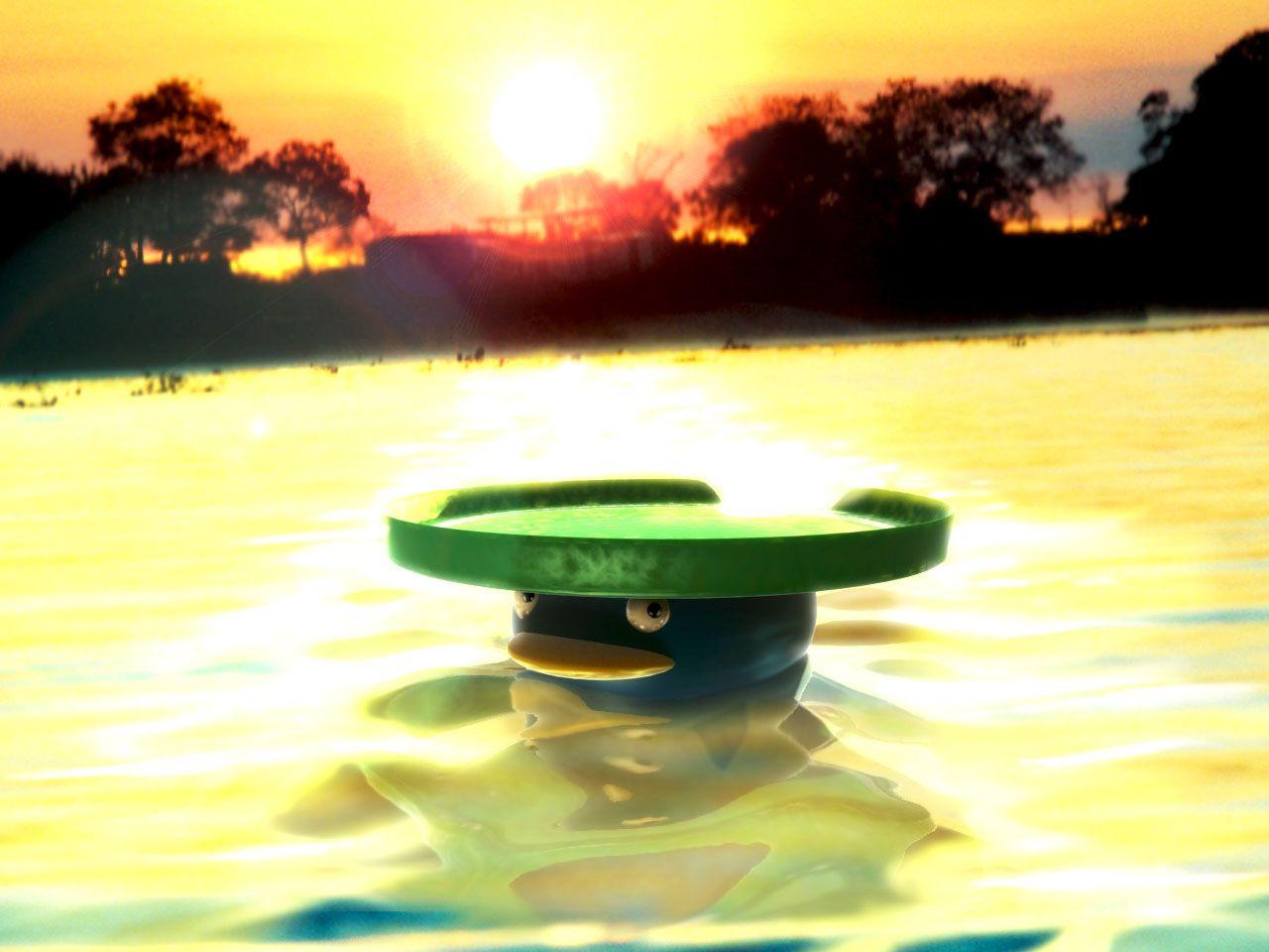 Lotad Hd Wallpapers