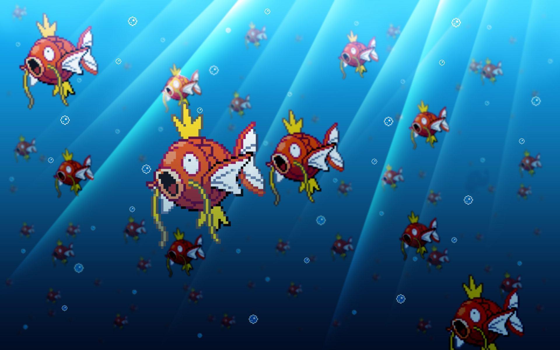 Magikarp Hd Wallpapers