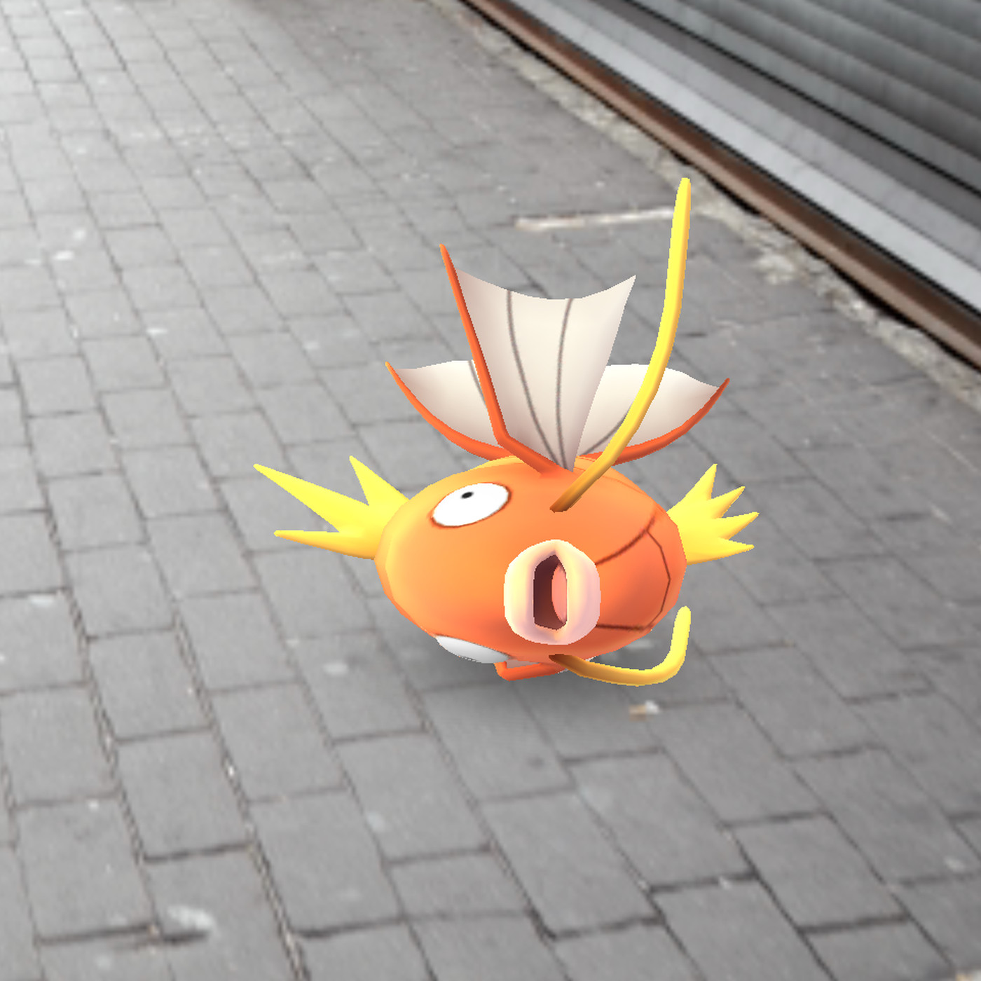 Magikarp Hd Wallpapers