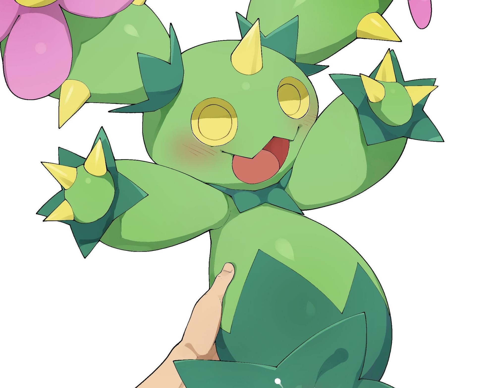 Maractus Hd Wallpapers