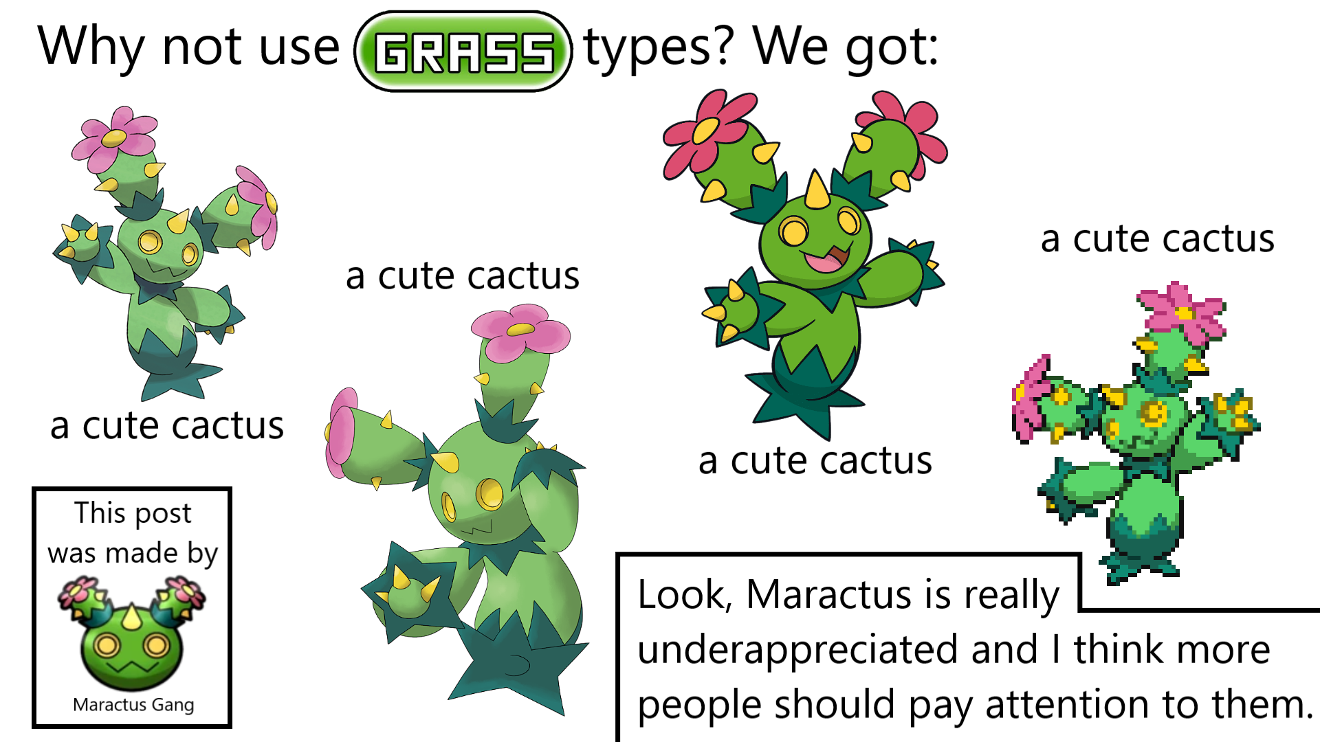 Maractus Hd Wallpapers