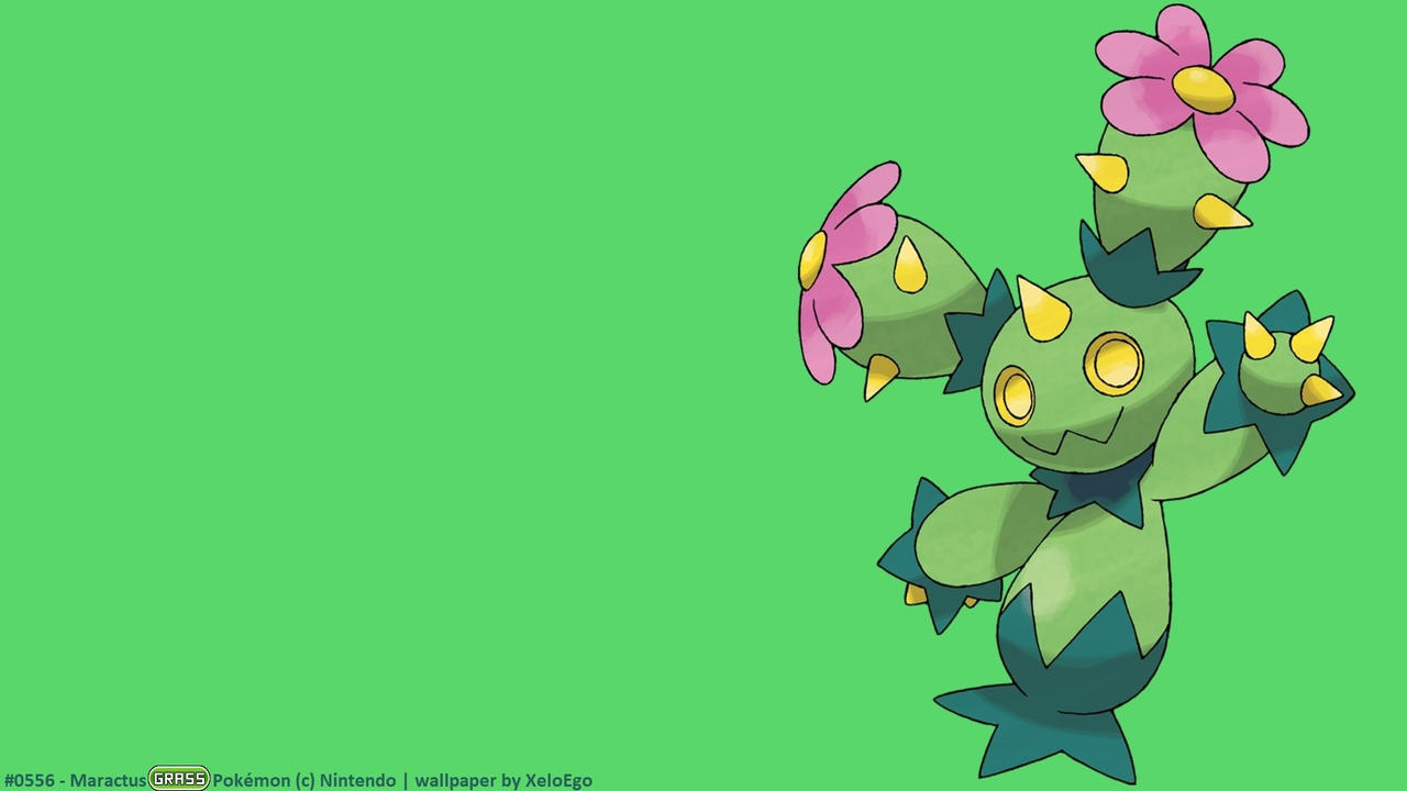 Maractus Hd Wallpapers