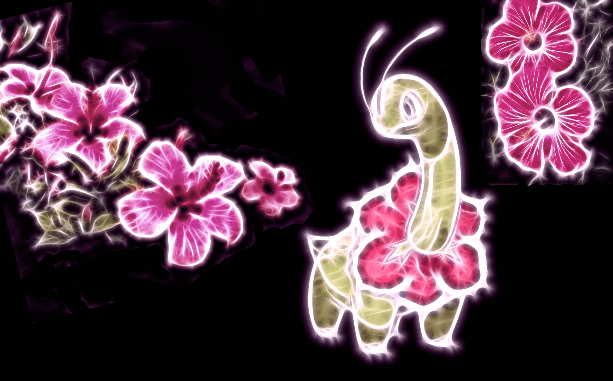 Meganium Hd Wallpapers