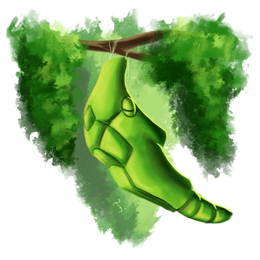 Metapod Hd Wallpapers